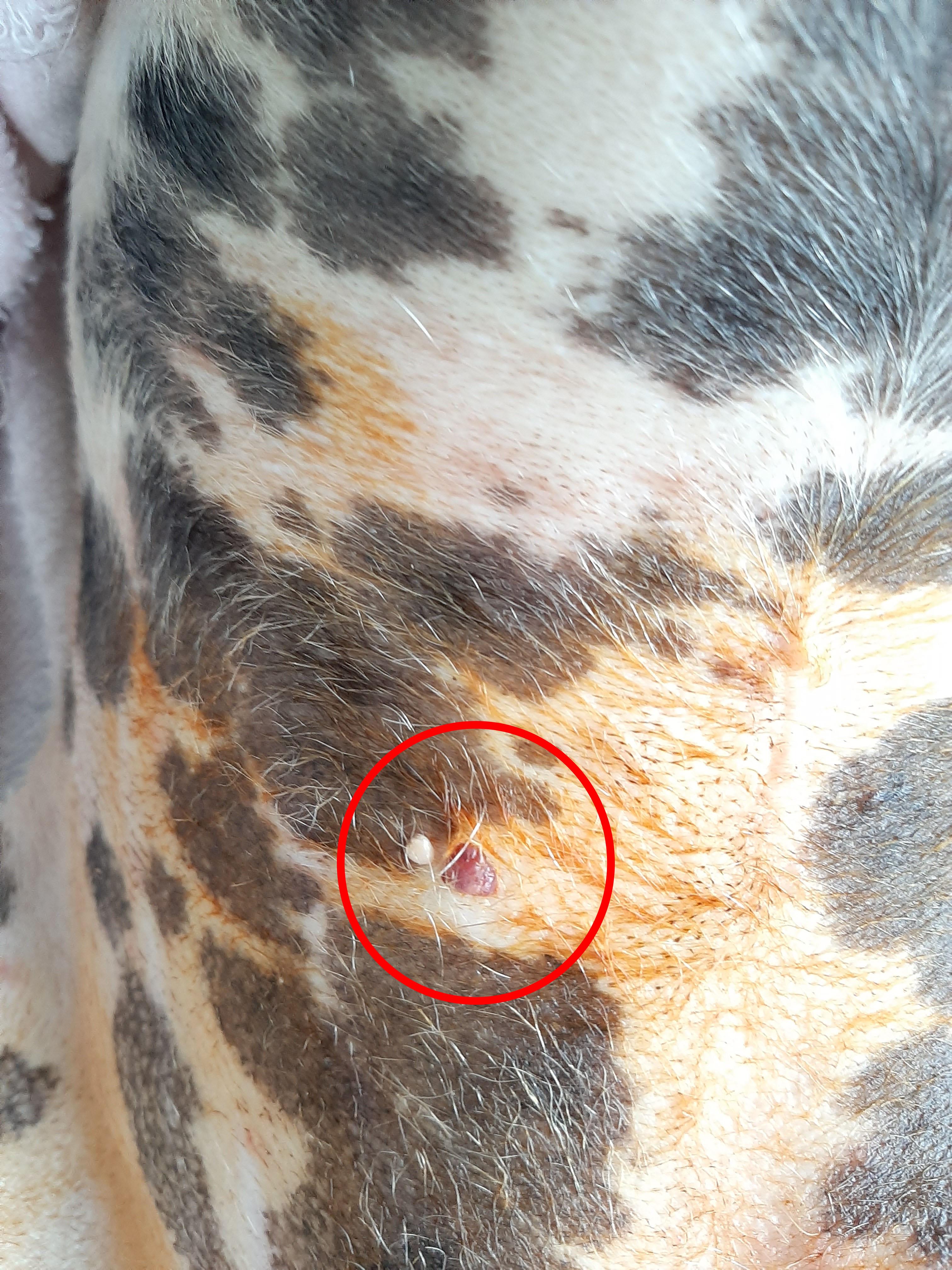 Question details sensitive content