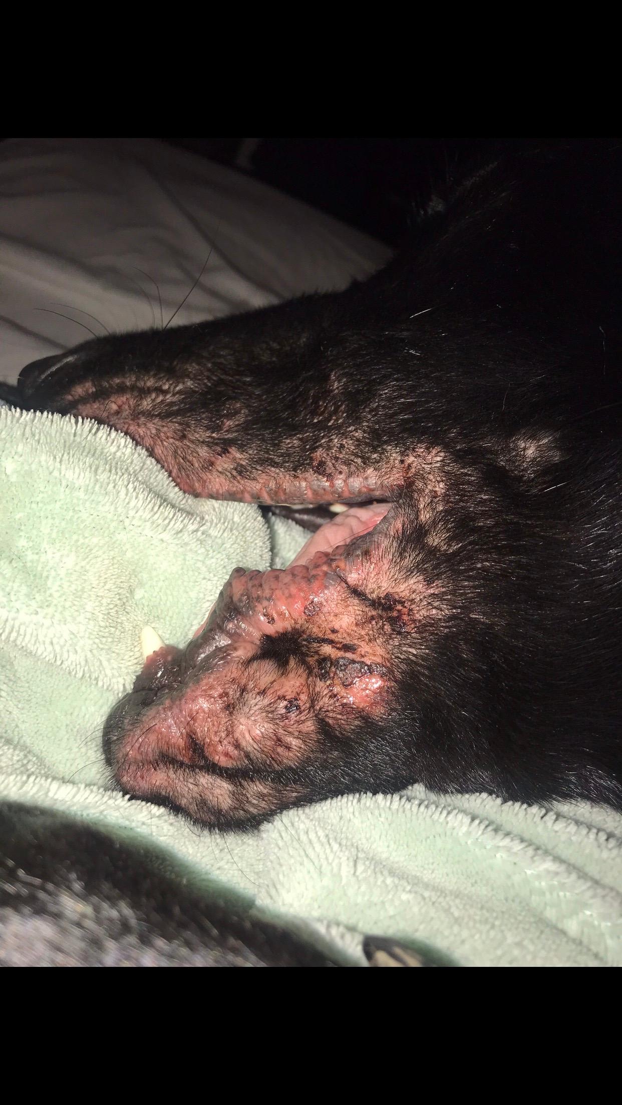 Question details sensitive content