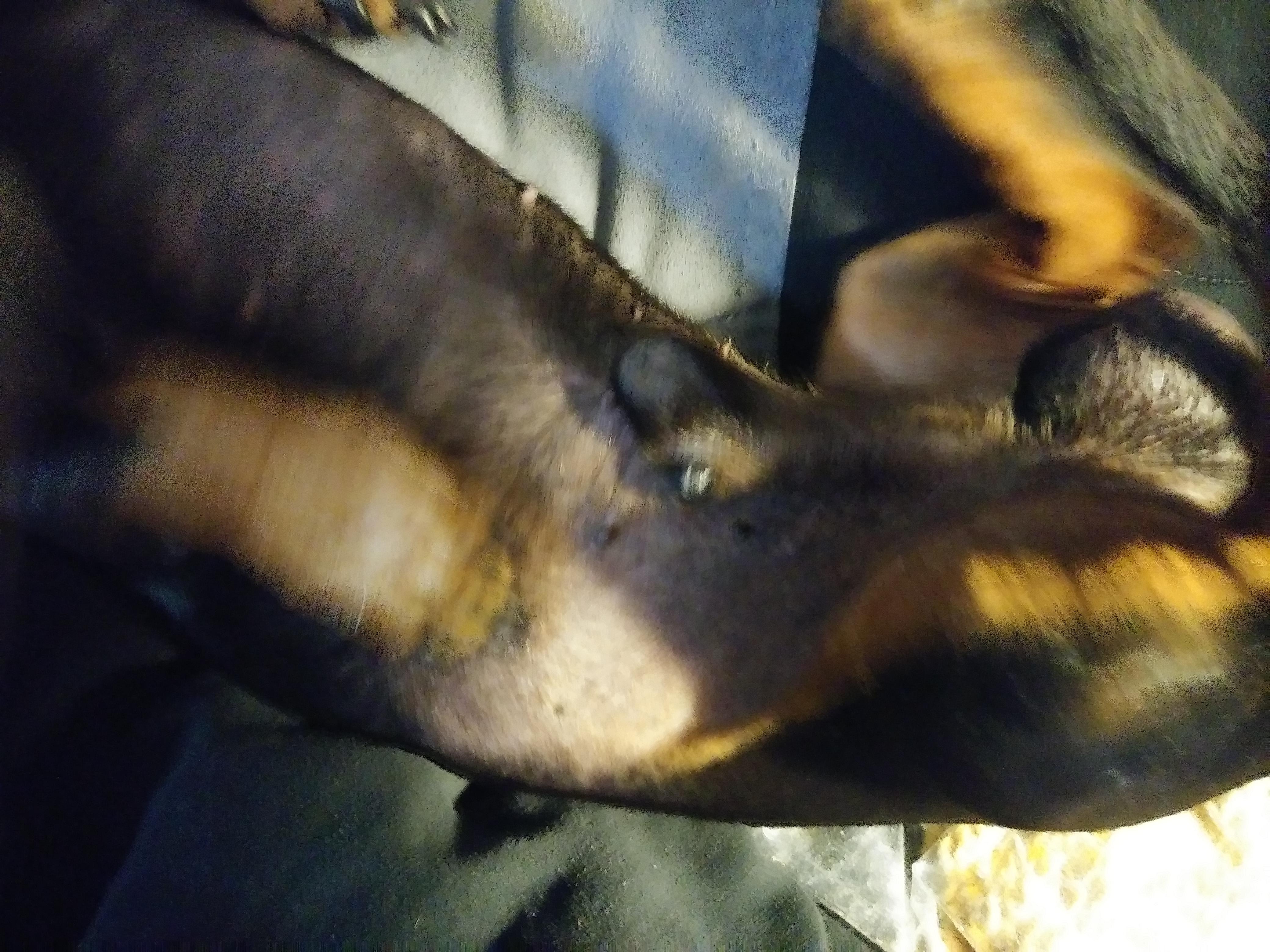 Question details sensitive content