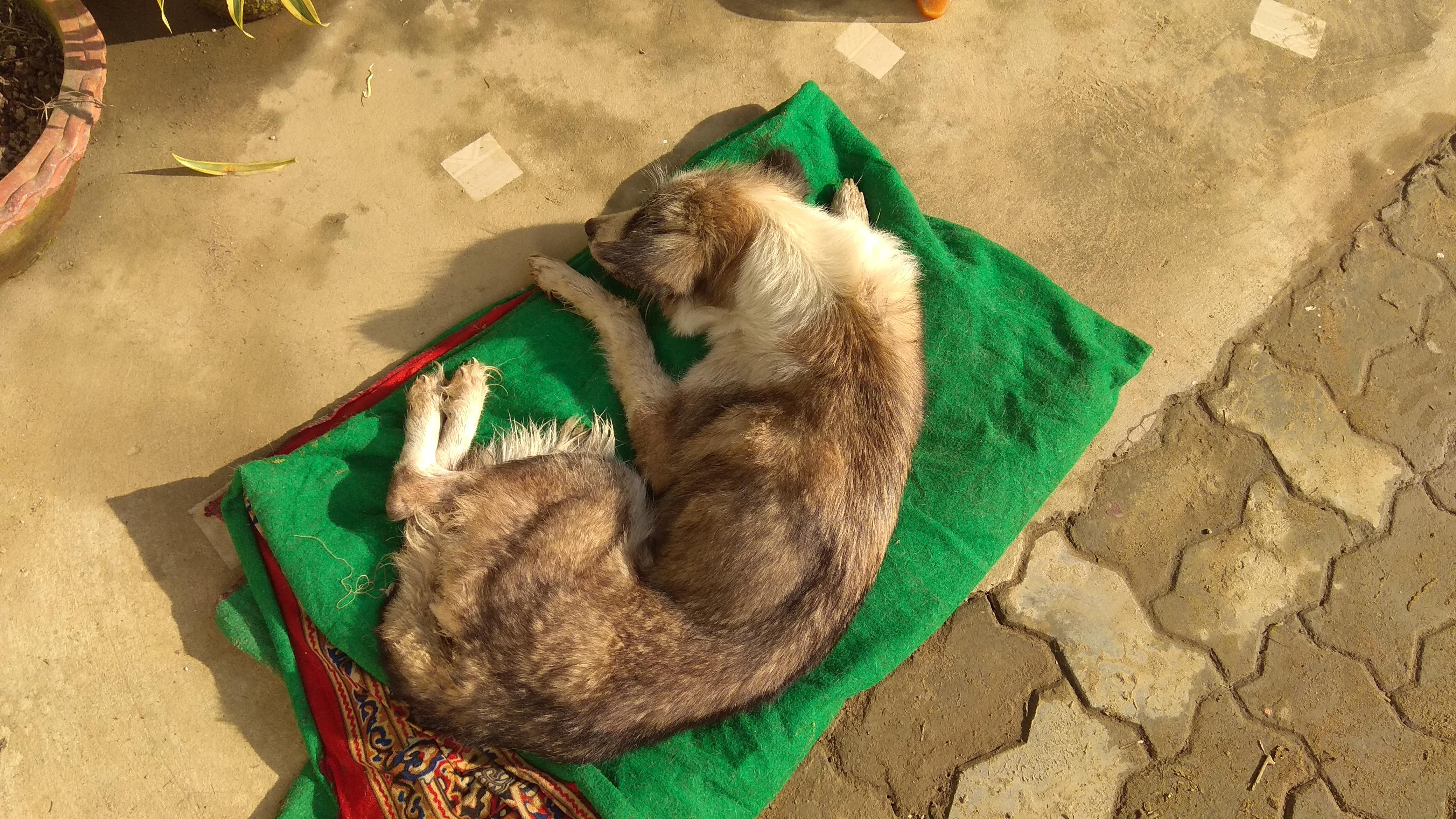 Question details sensitive content