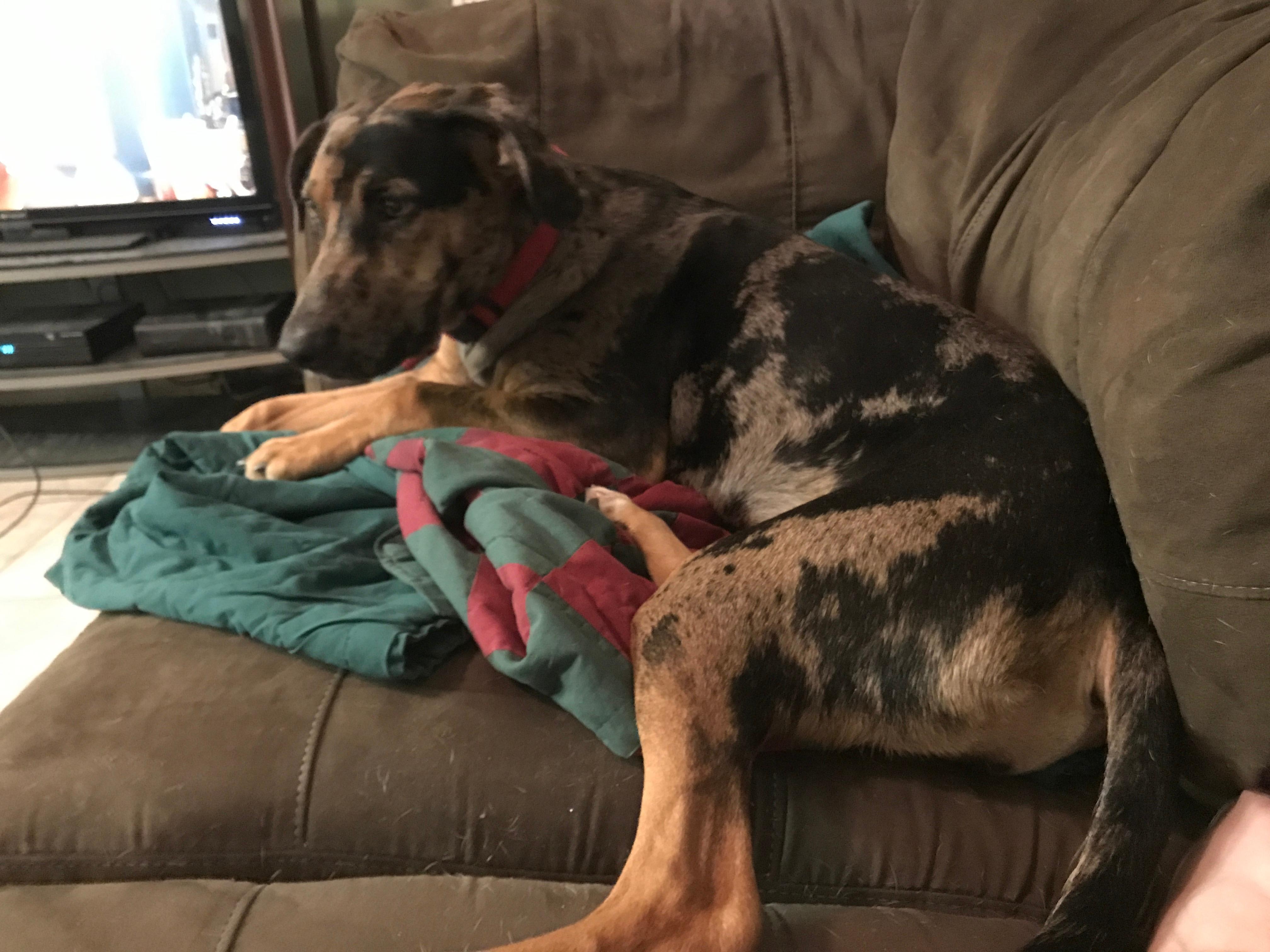 Question details sensitive content