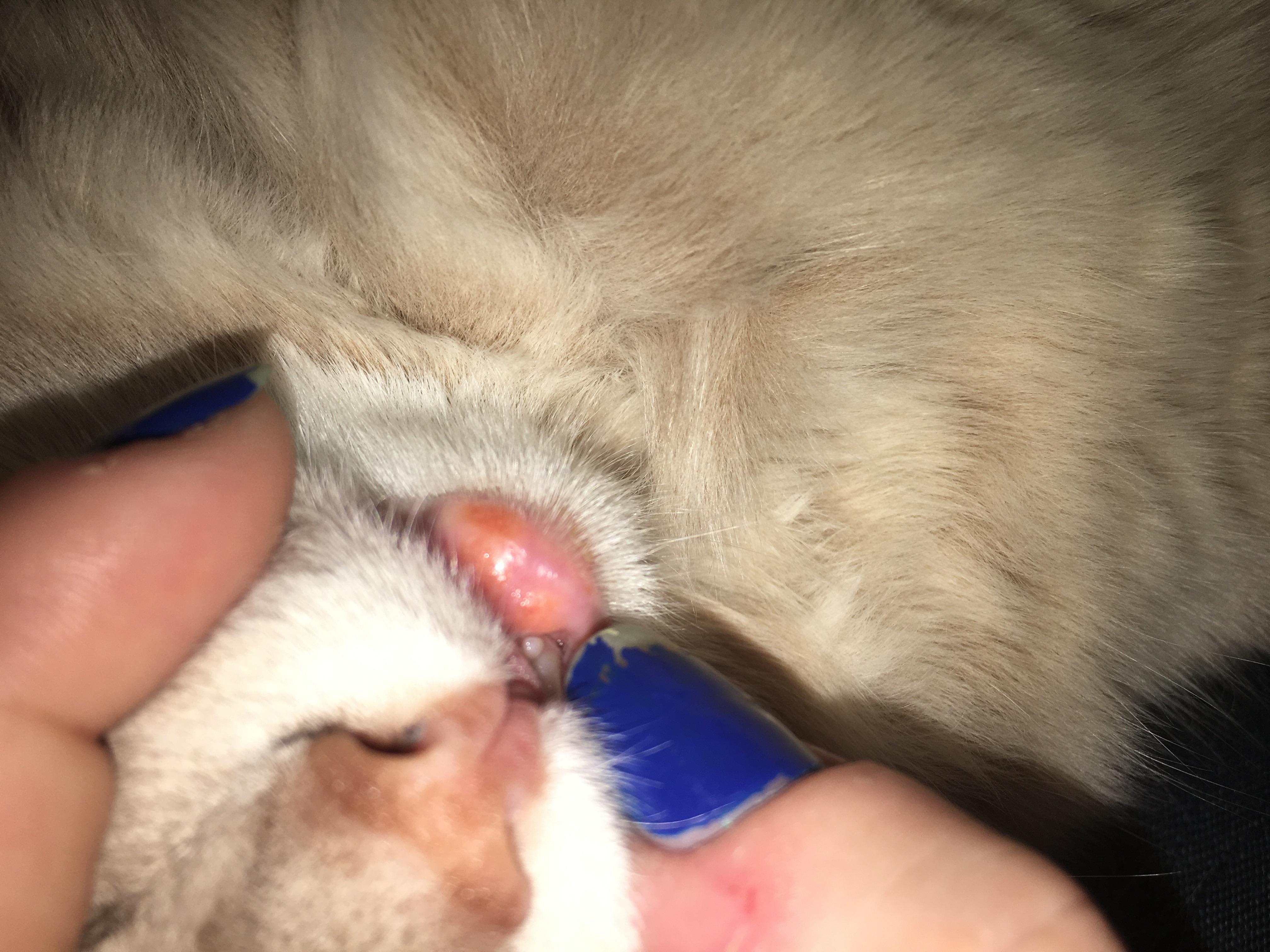 Question details sensitive content