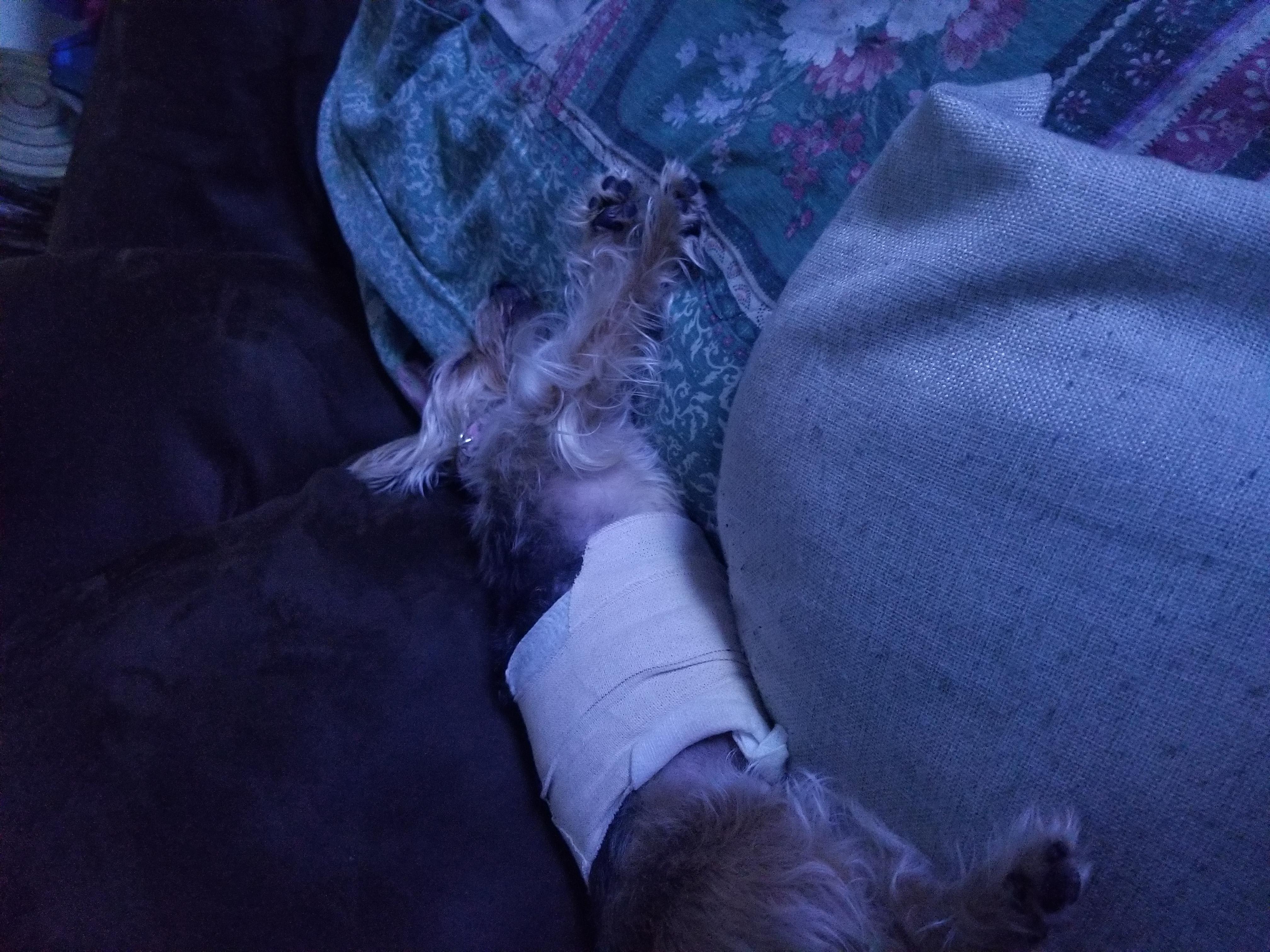 Question details sensitive content