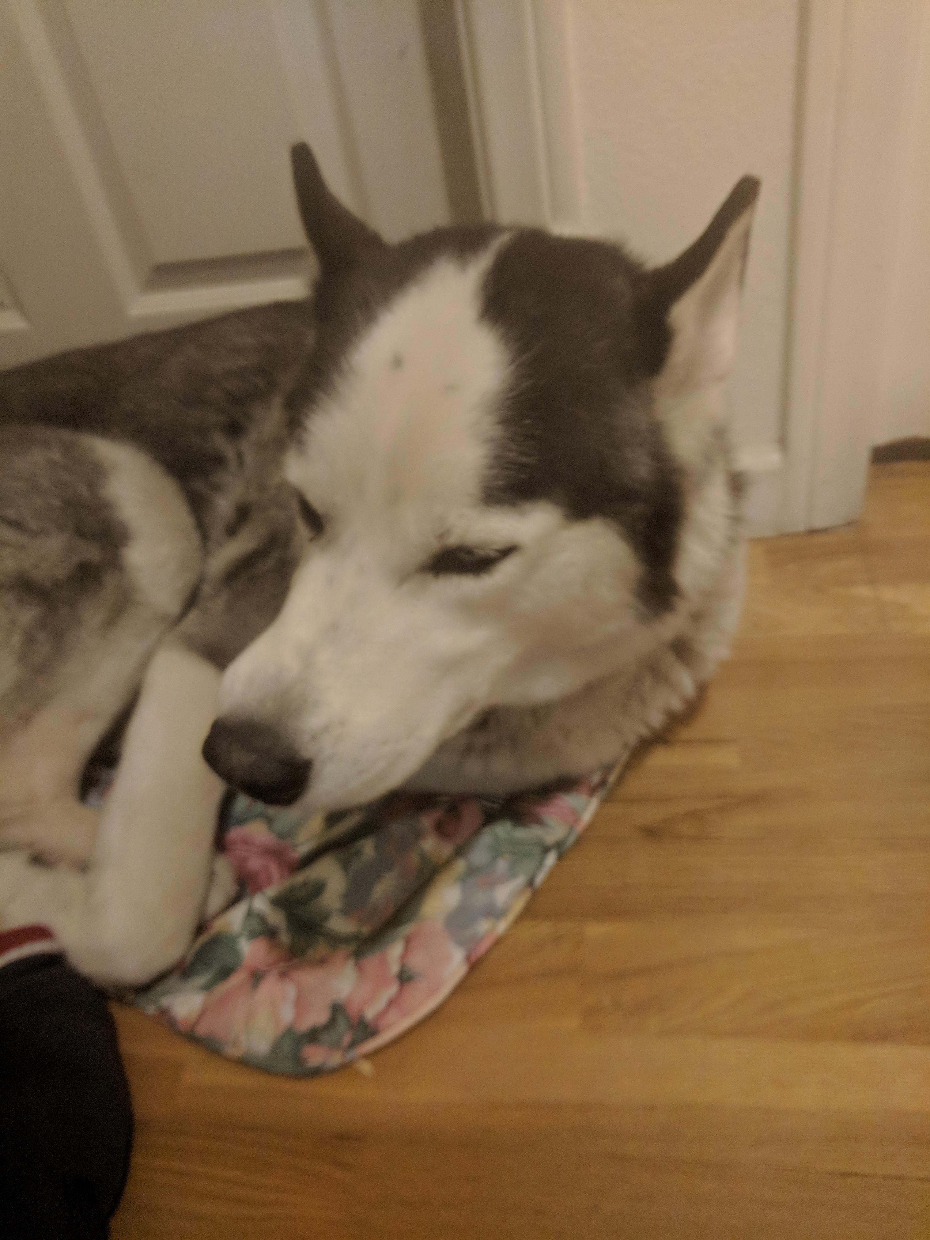 Question details sensitive content