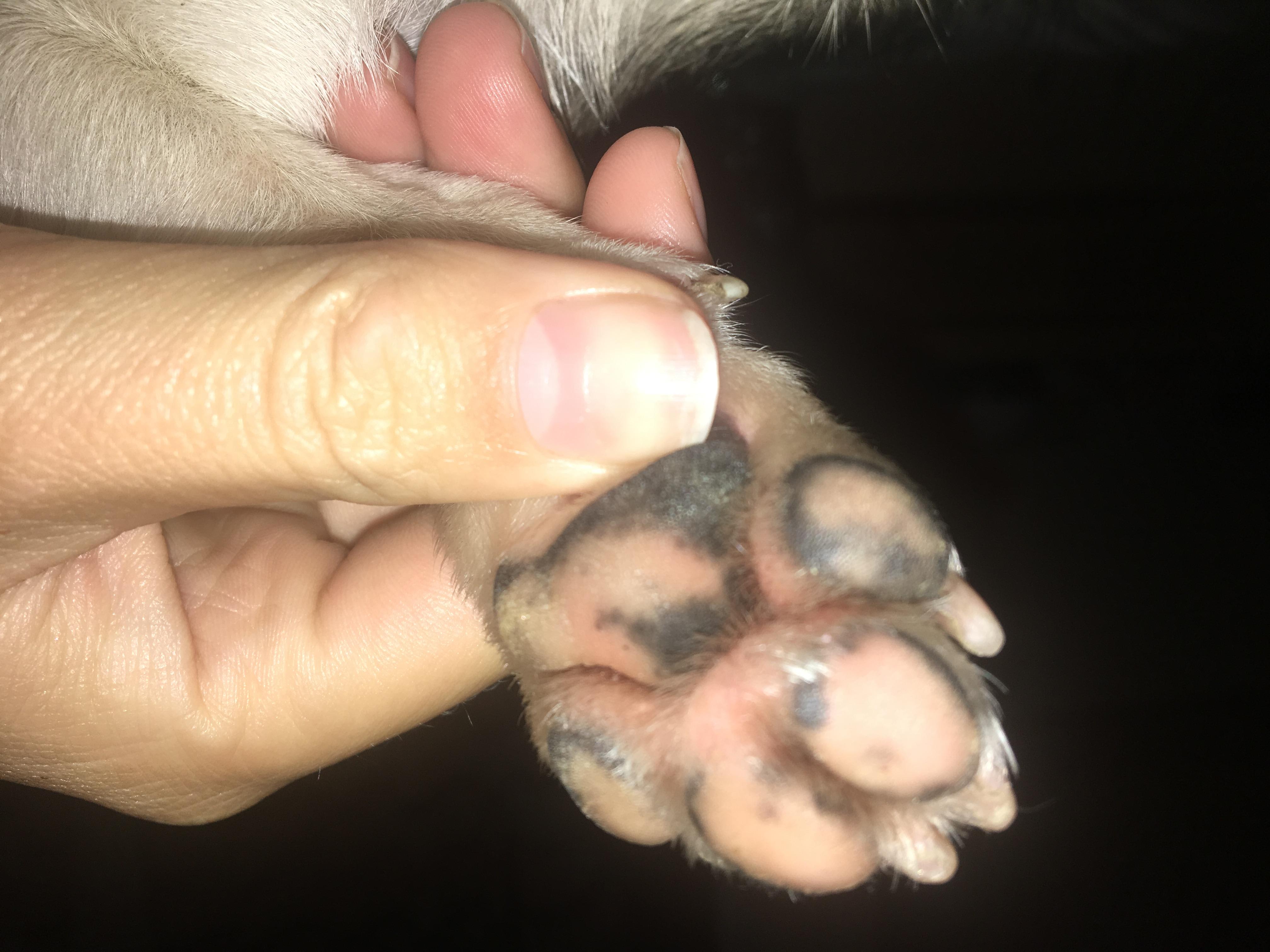 Question details sensitive content