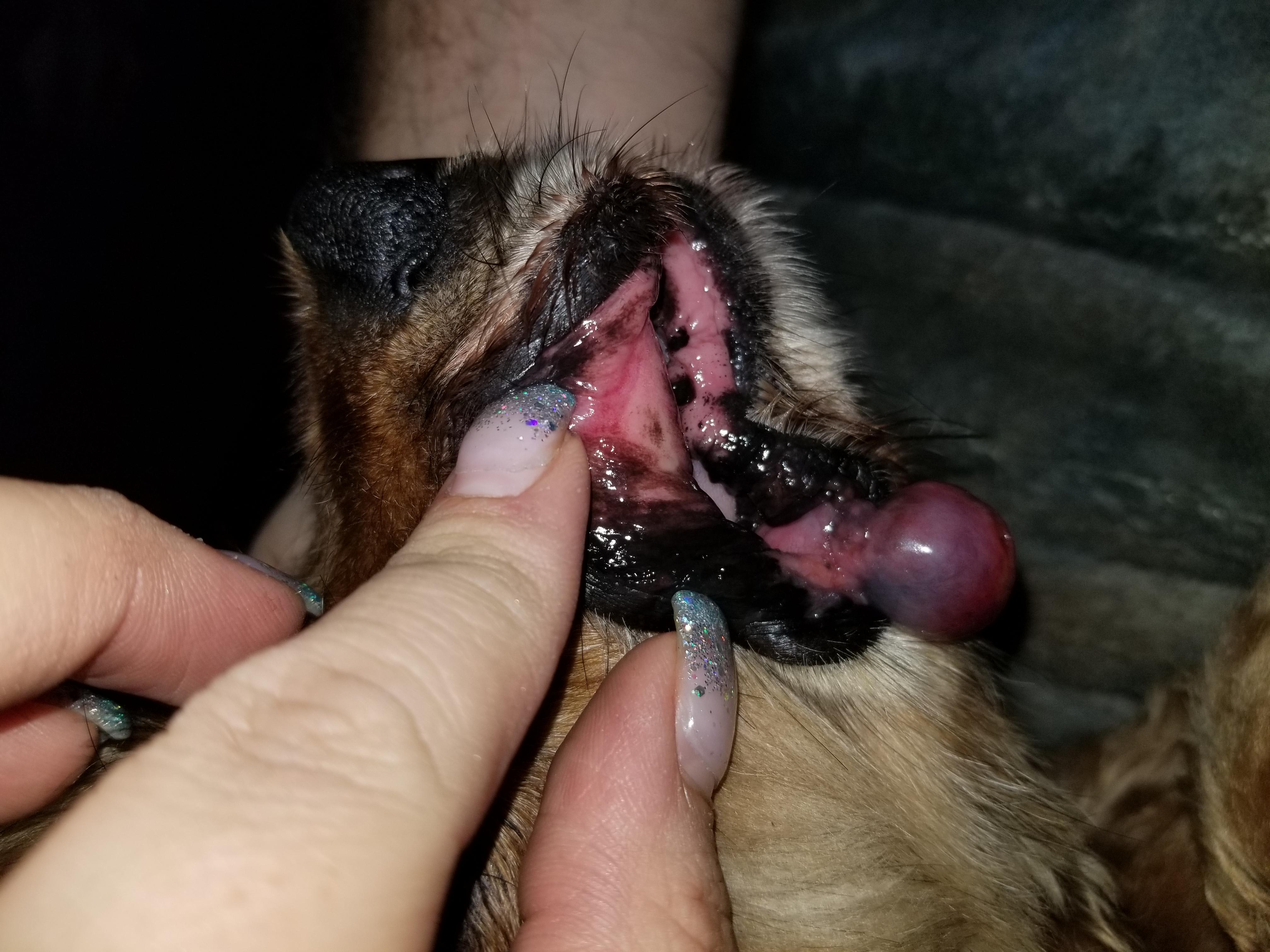 Question details sensitive content