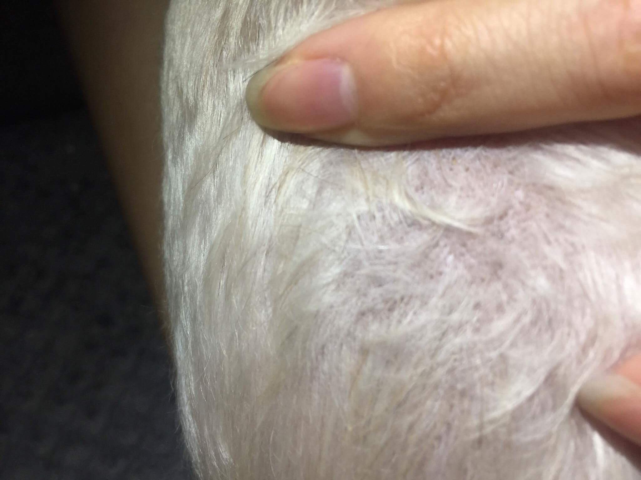 Question details sensitive content