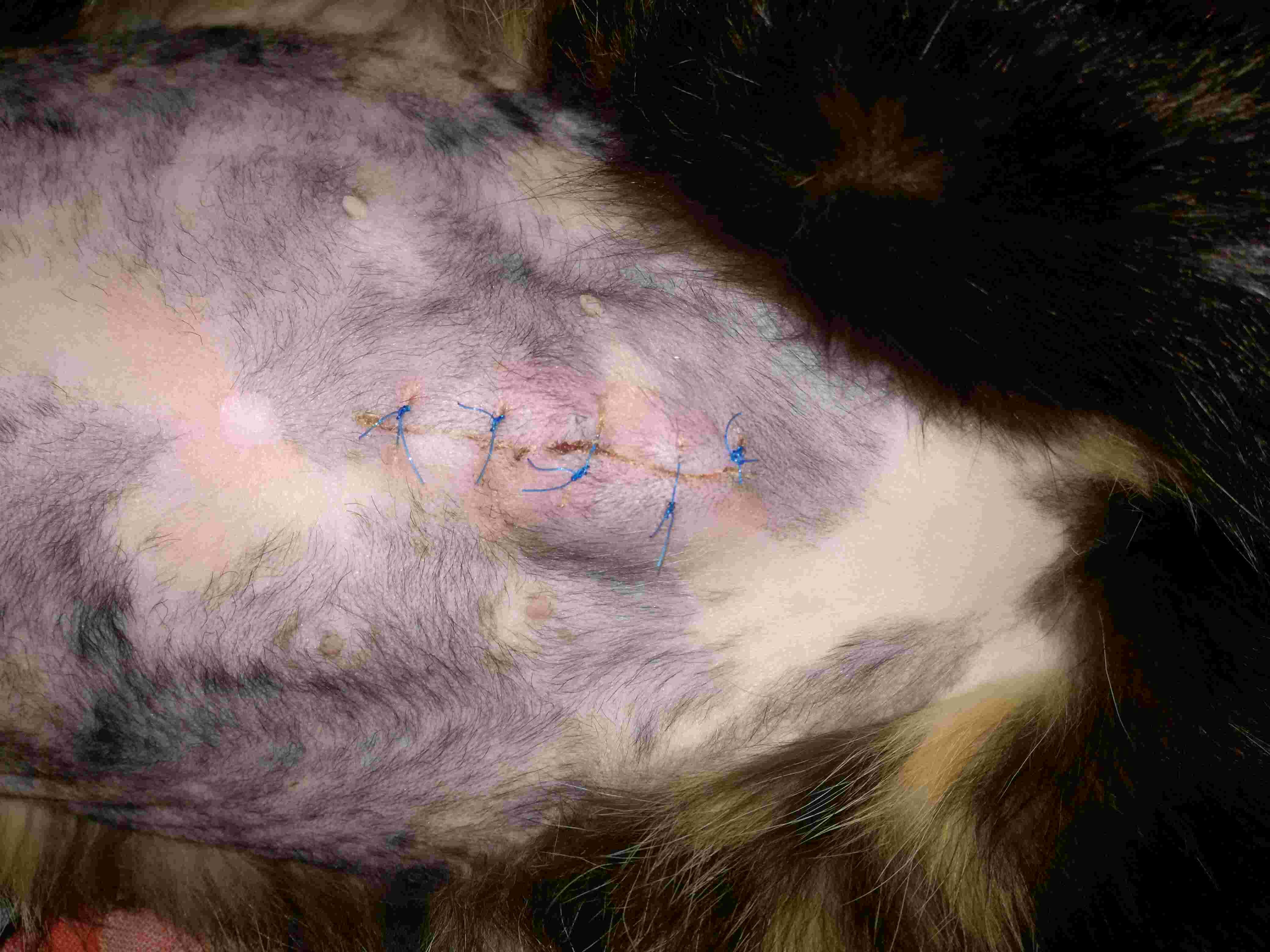 Question details sensitive content