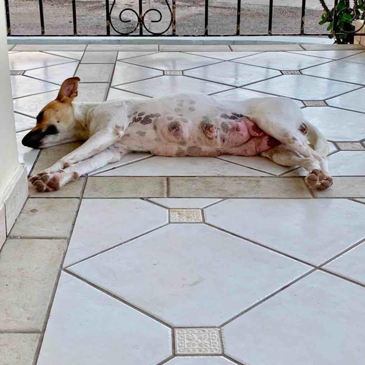 Question details sensitive content