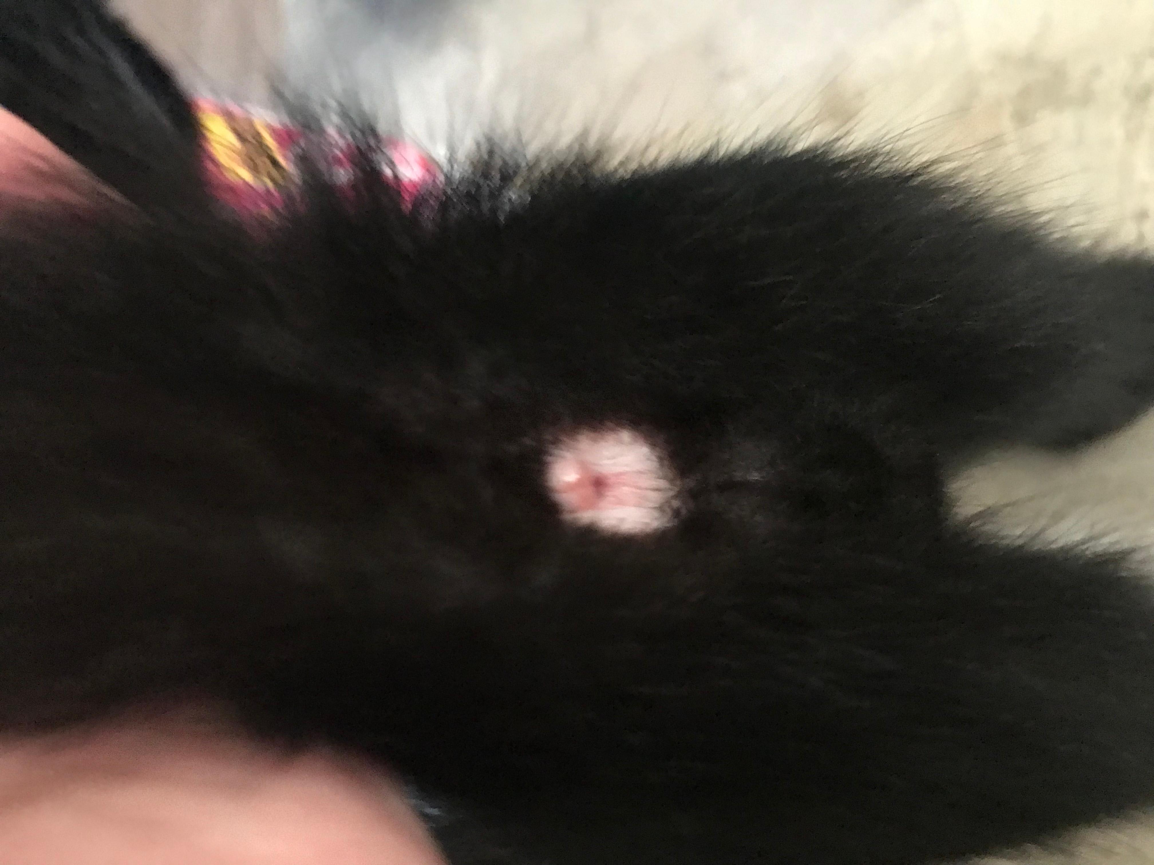 Question details sensitive content