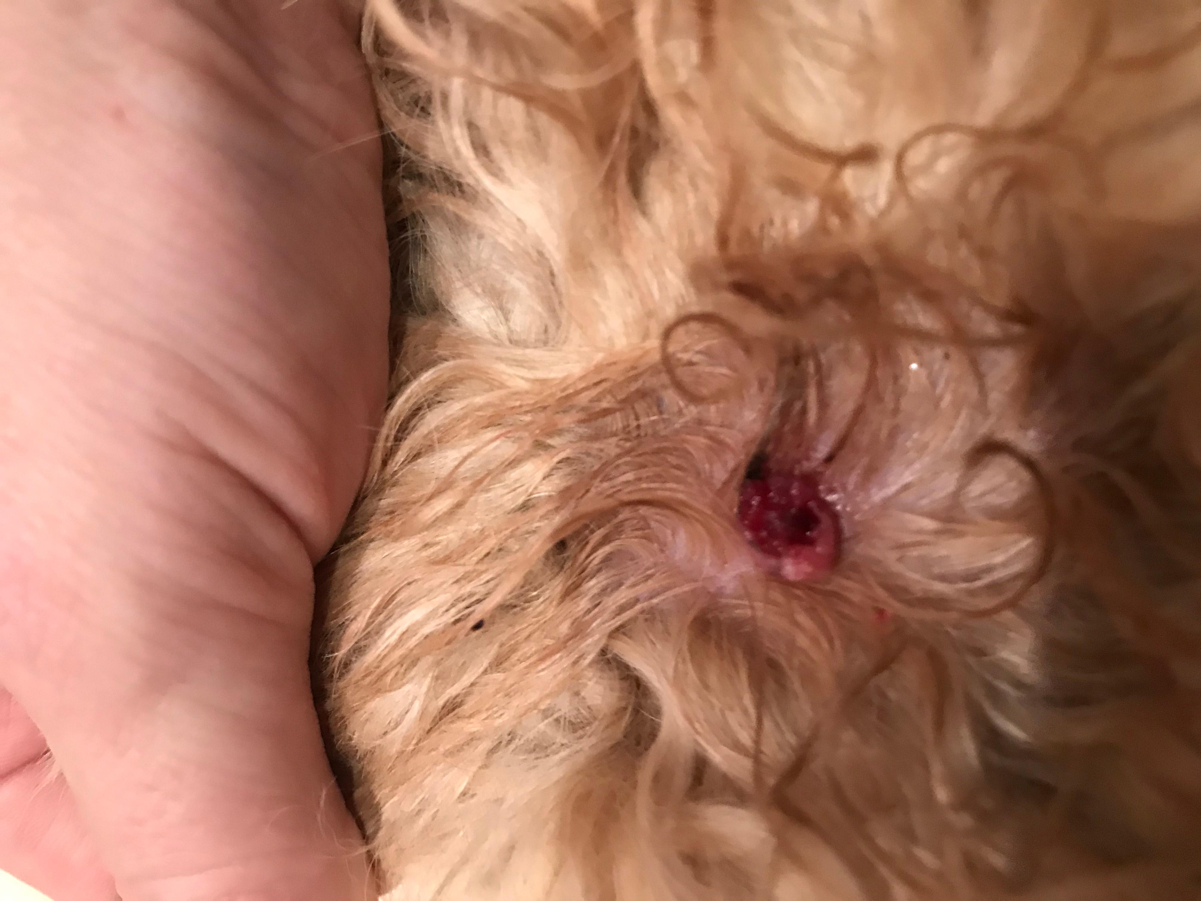 Question details sensitive content