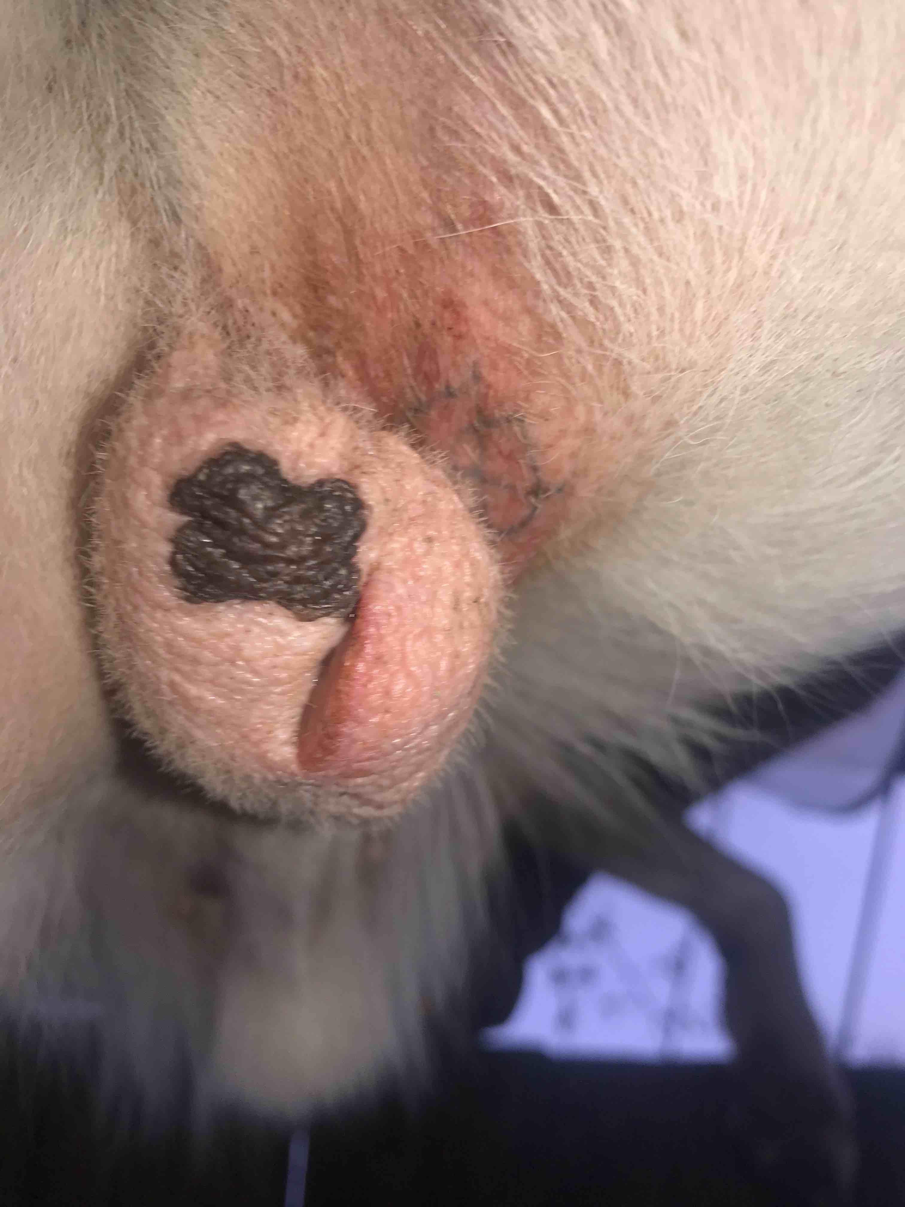 Question details sensitive content