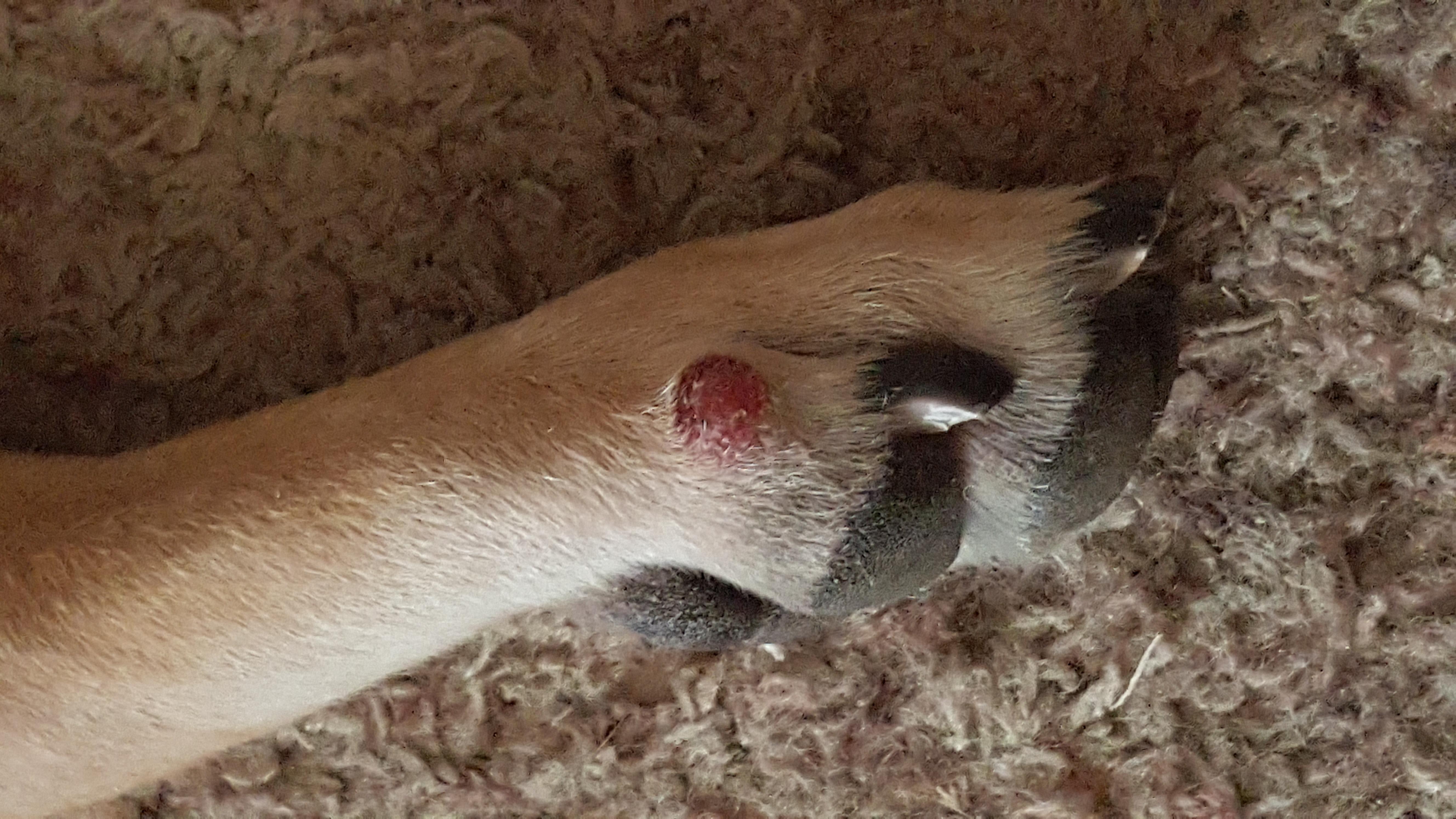 Question details sensitive content