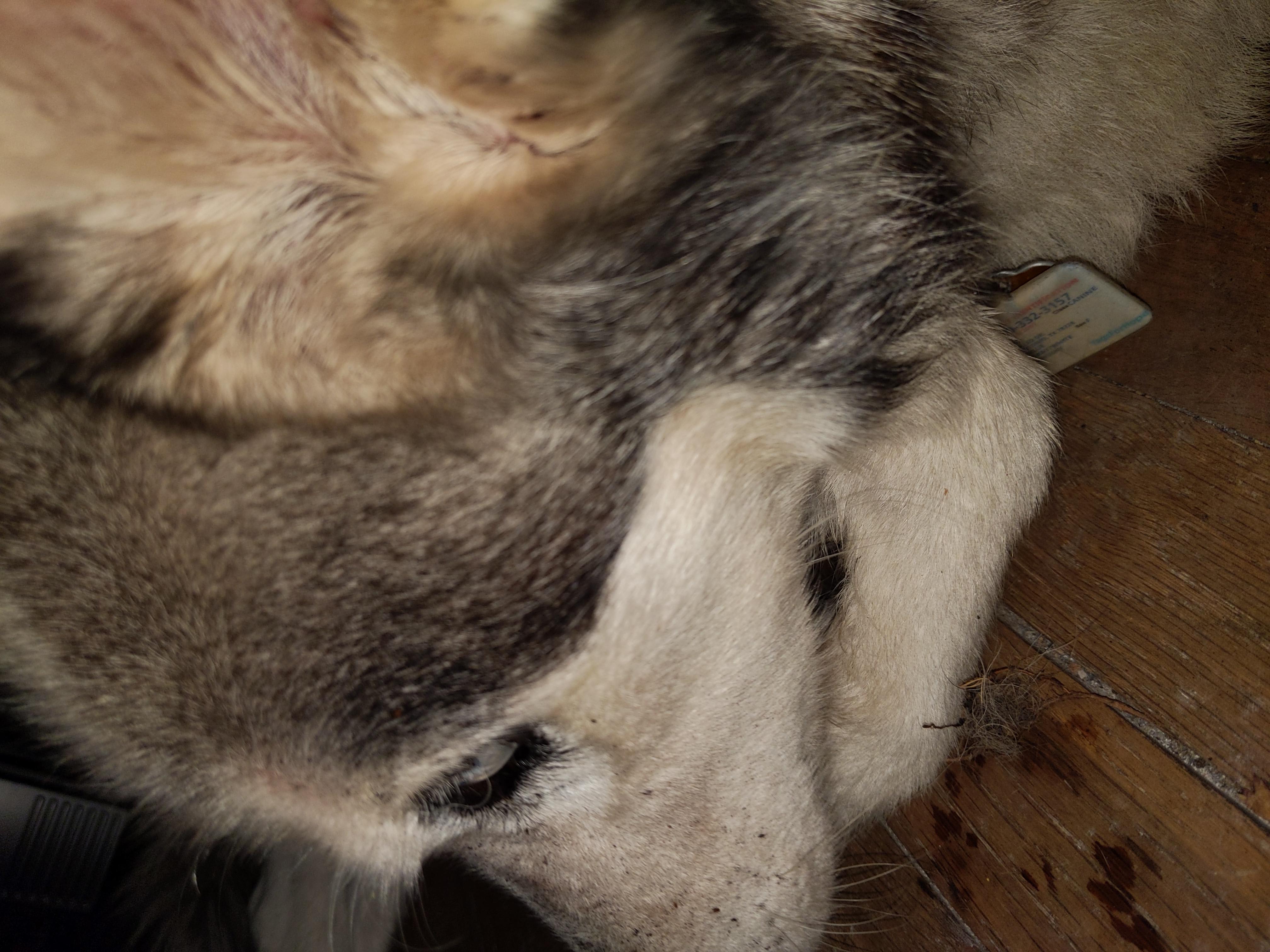 Question details sensitive content