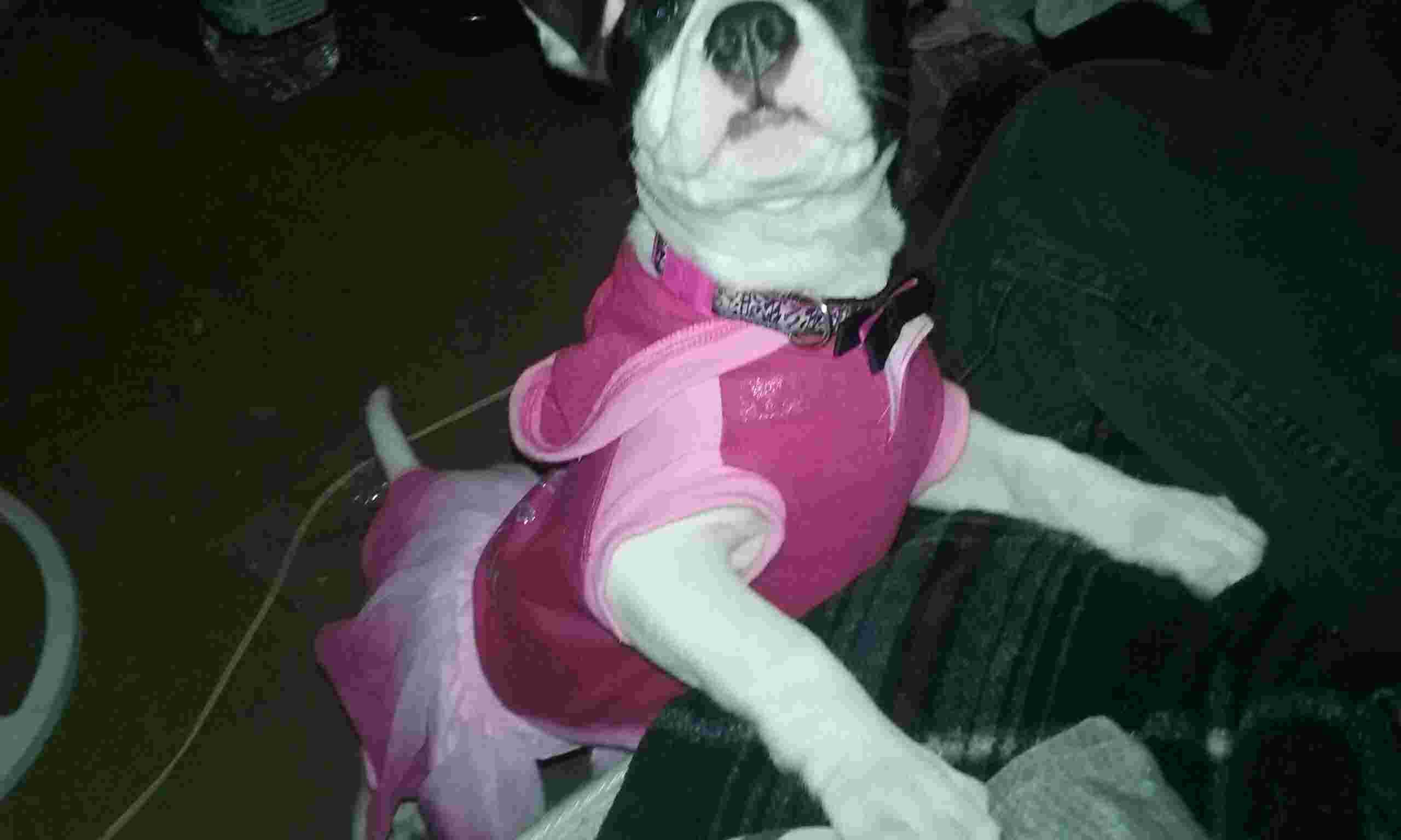 Question details sensitive content