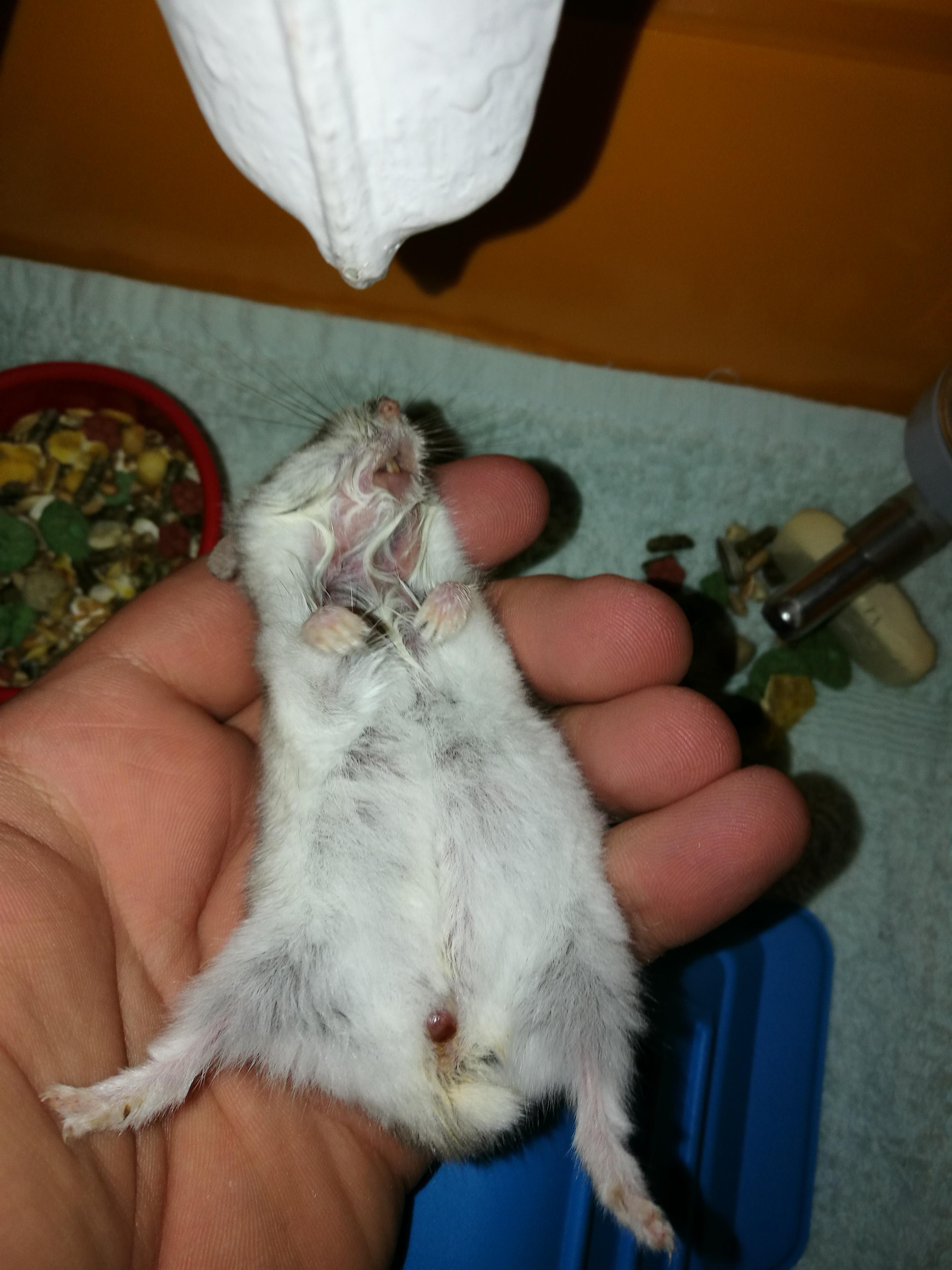 Question details sensitive content