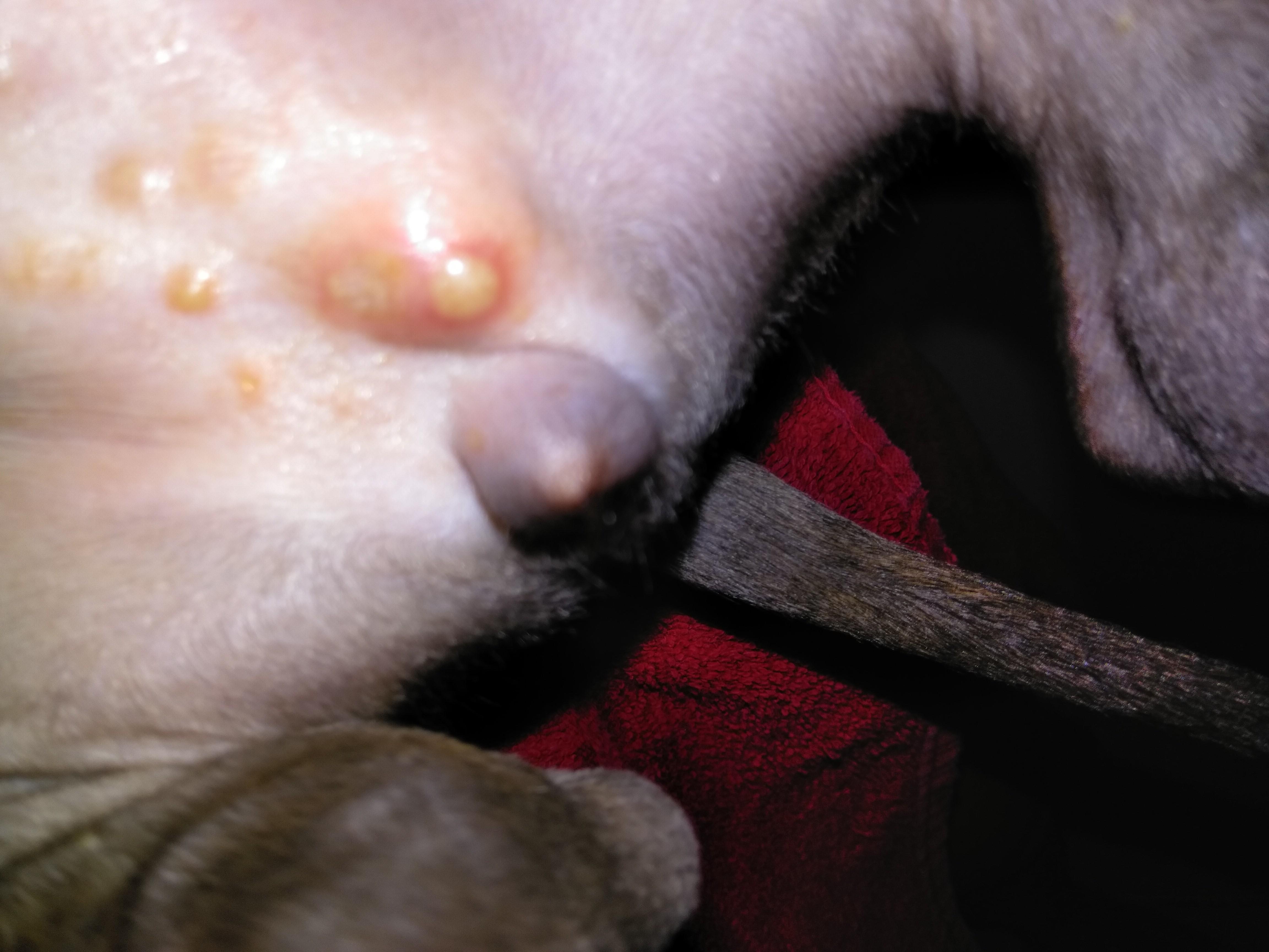 Question details sensitive content