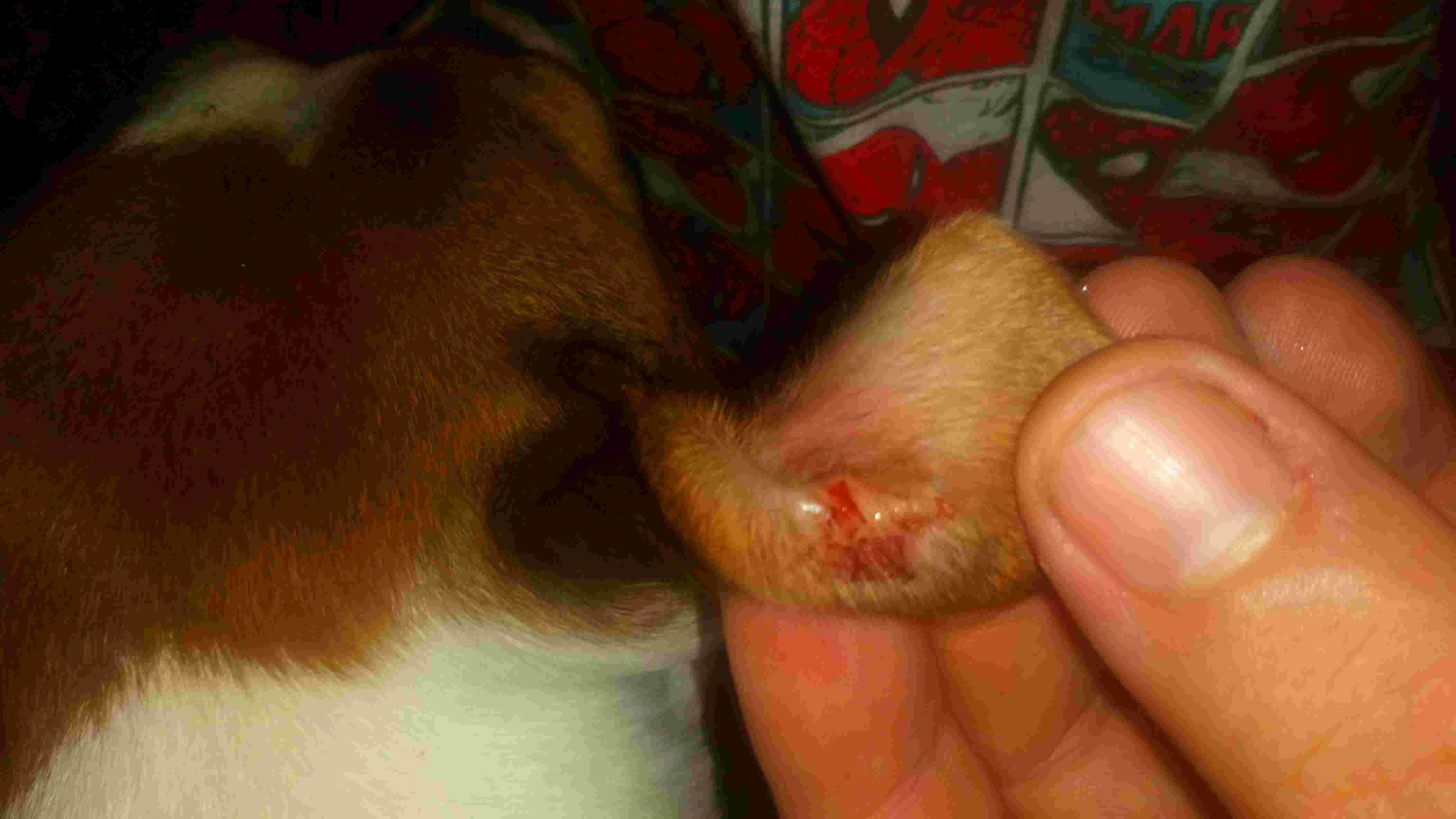 Question details sensitive content