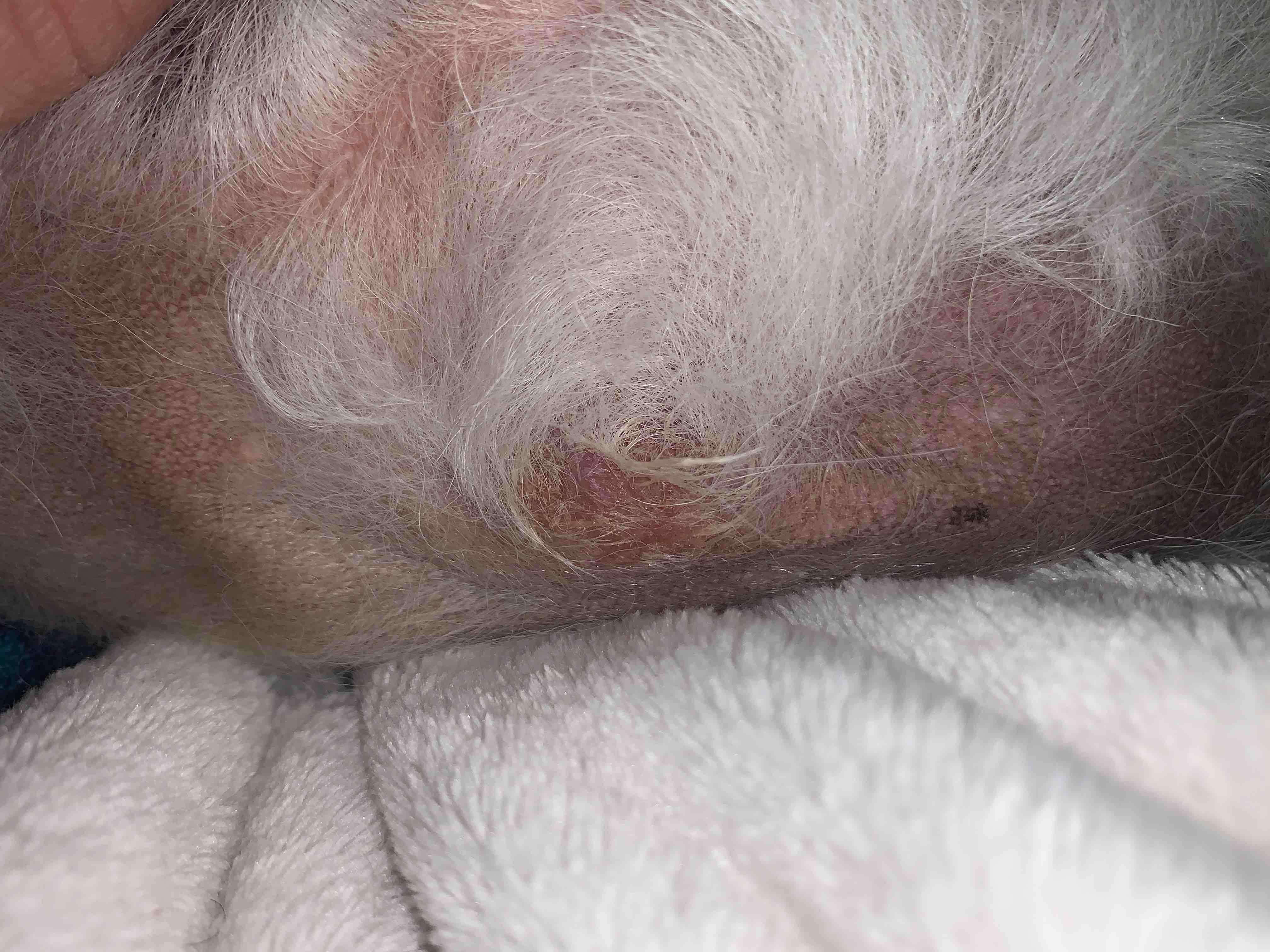 Question details sensitive content