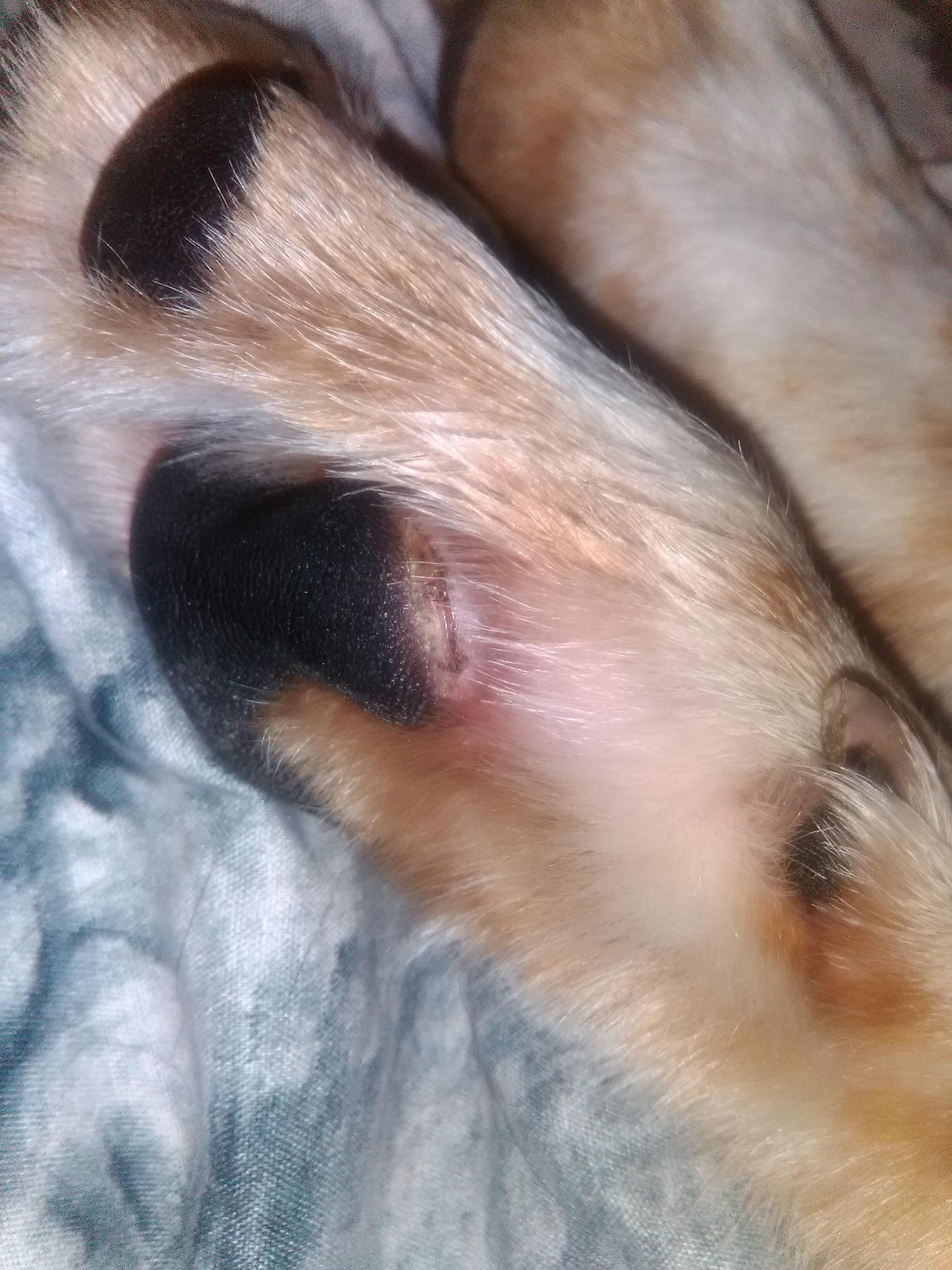 Question details sensitive content