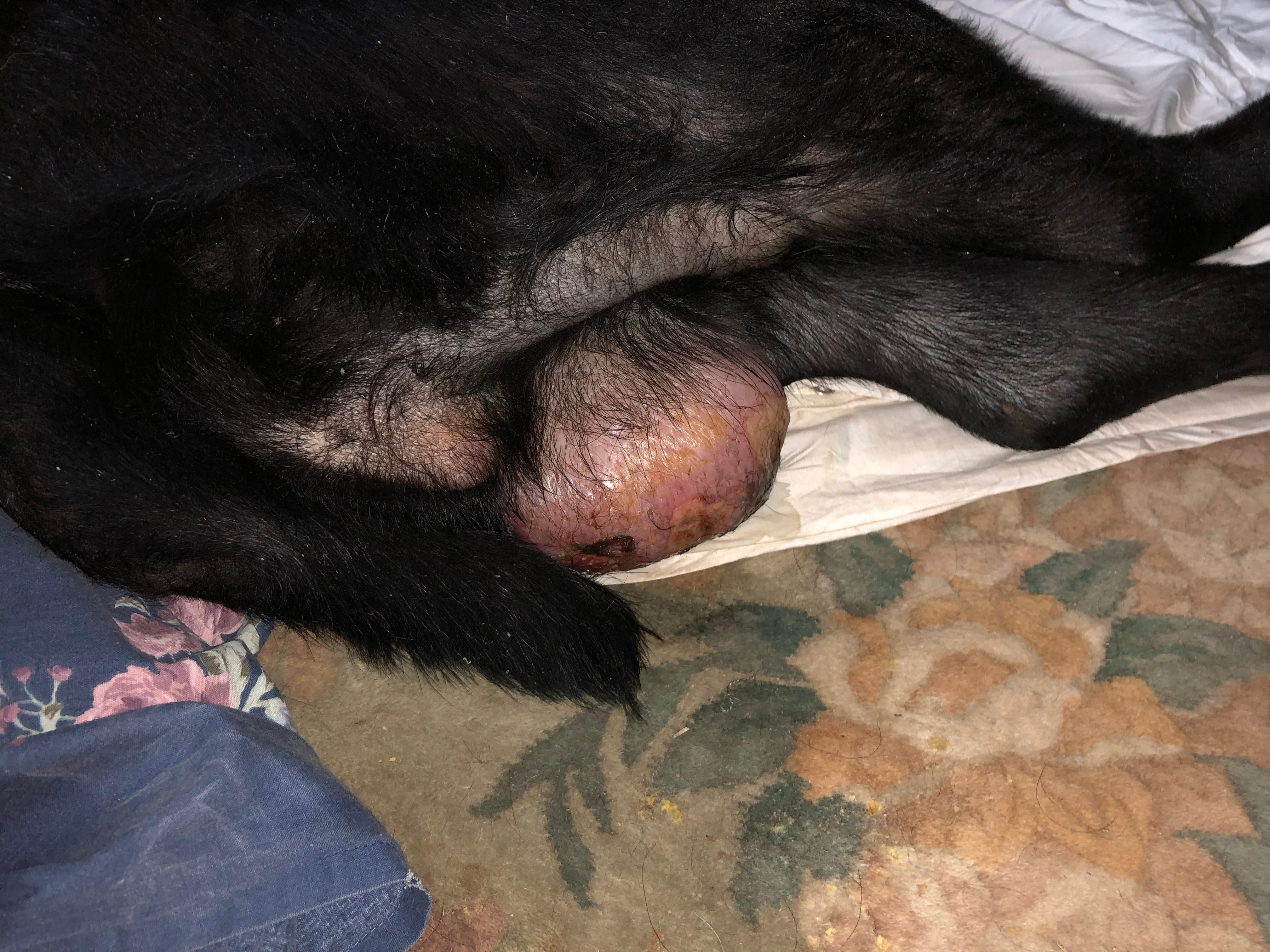 Question details sensitive content