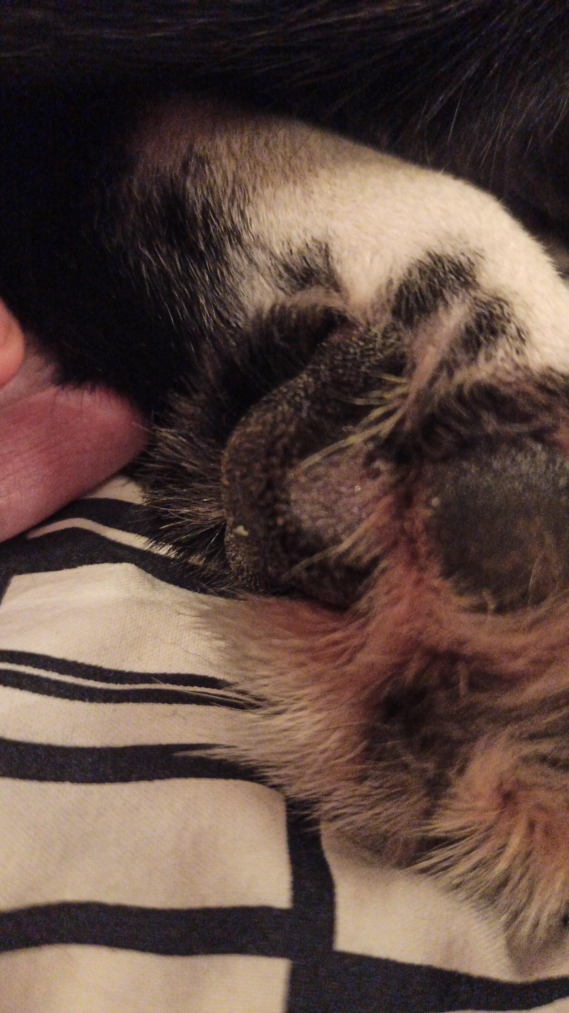 Question details sensitive content