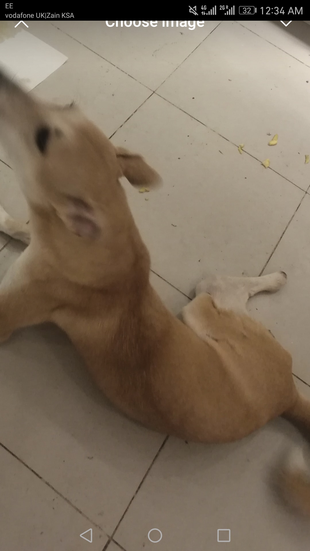 Question details sensitive content