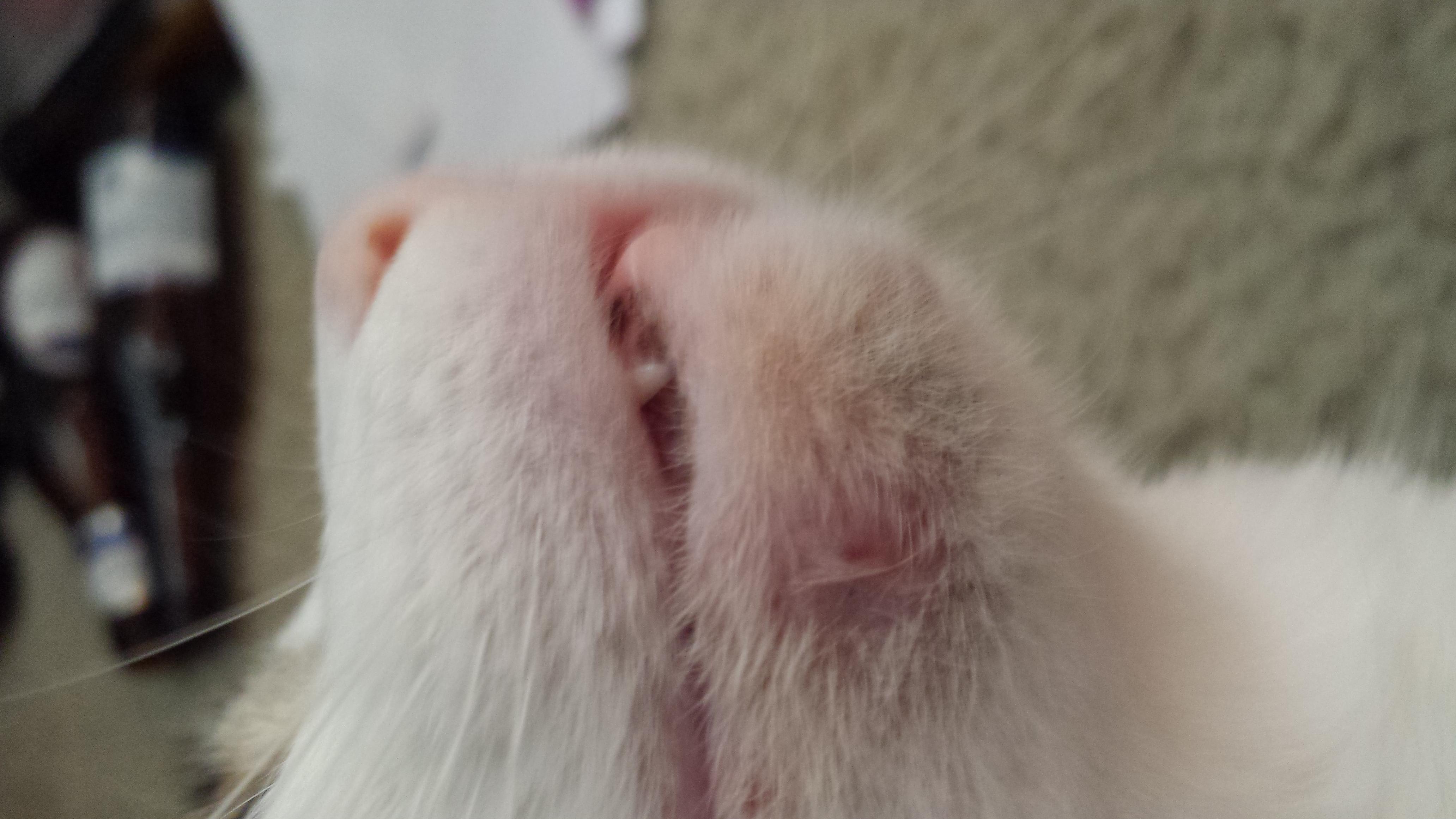 Question details sensitive content