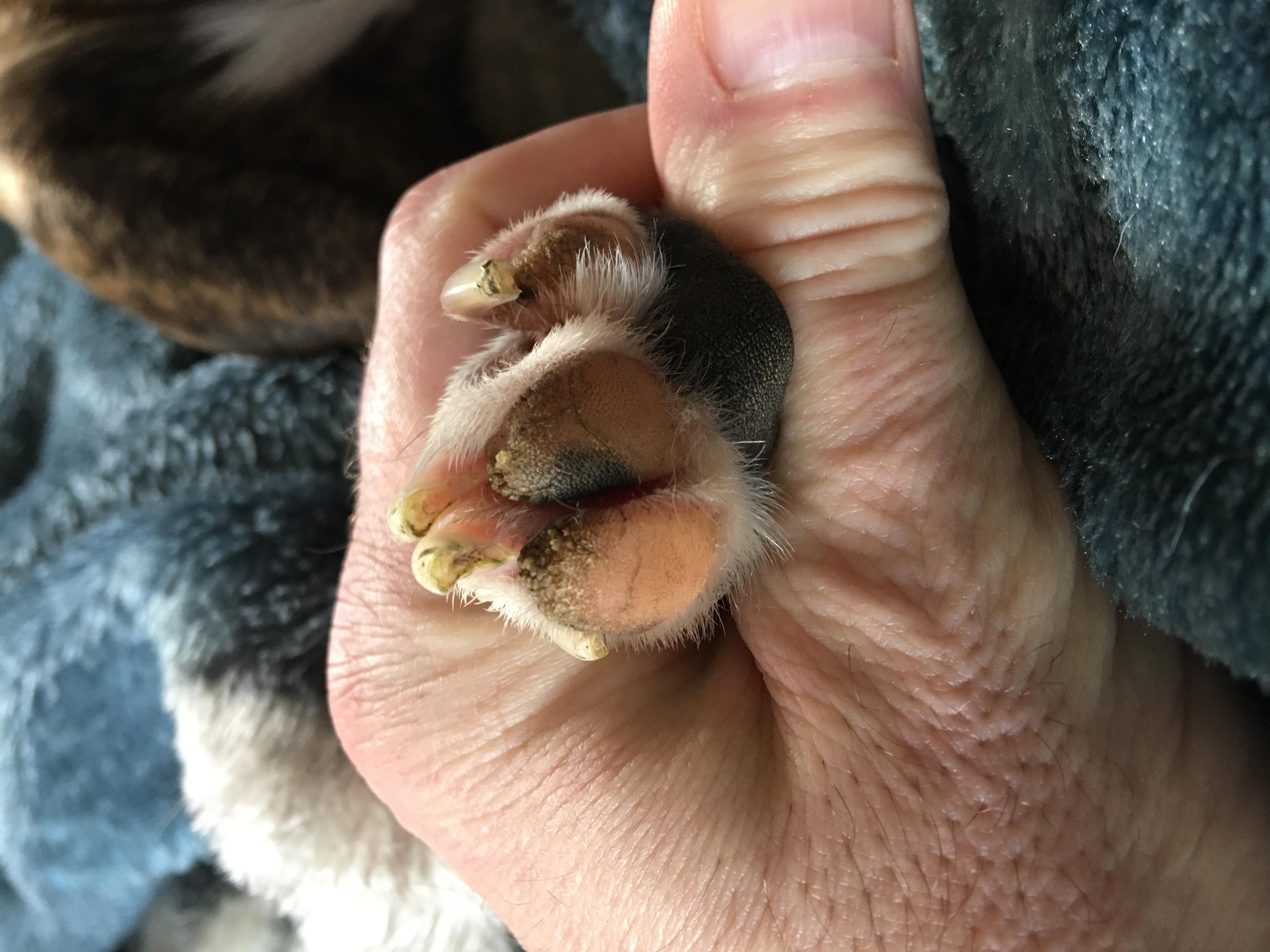 Question details sensitive content