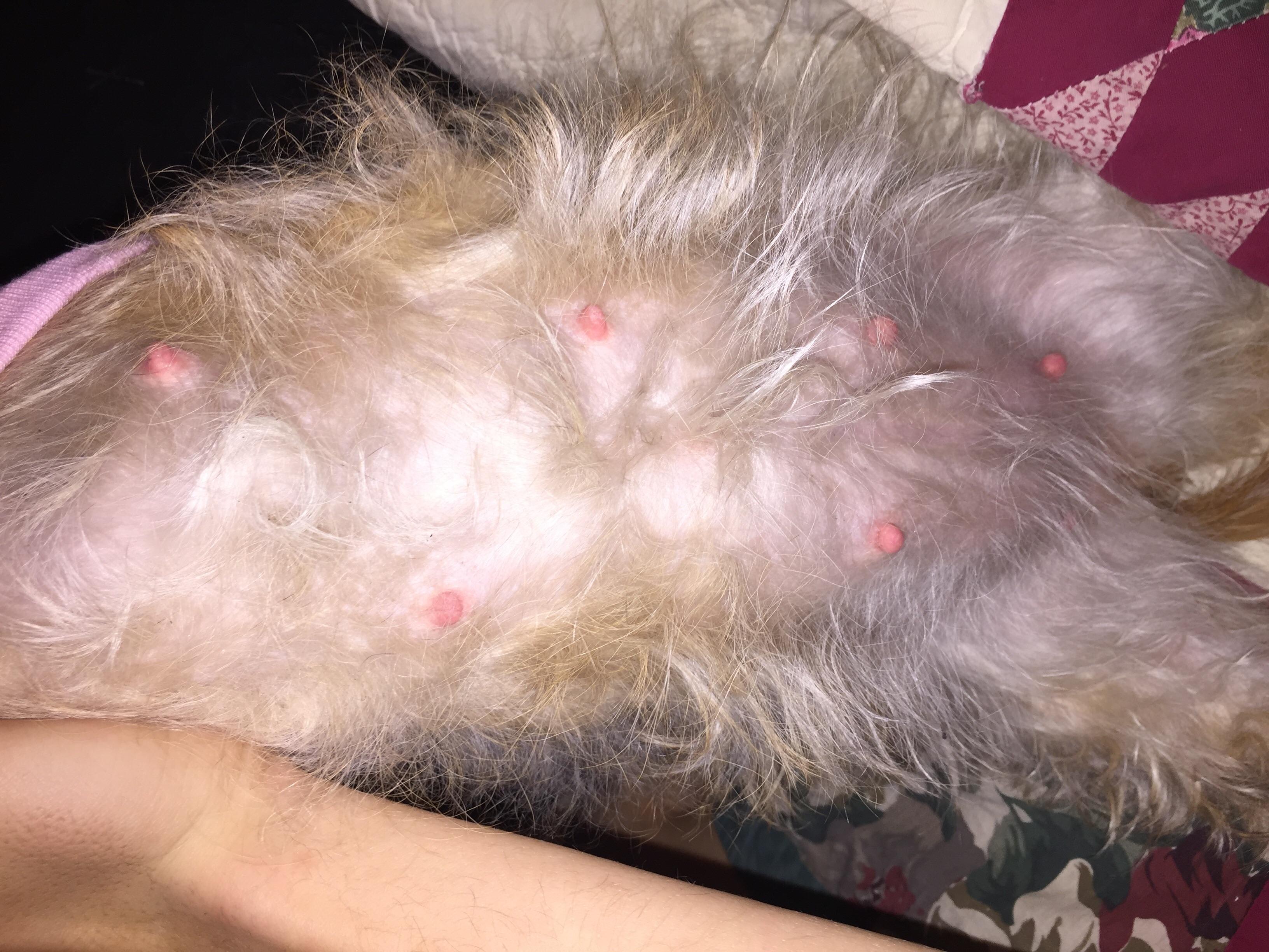 Question details sensitive content