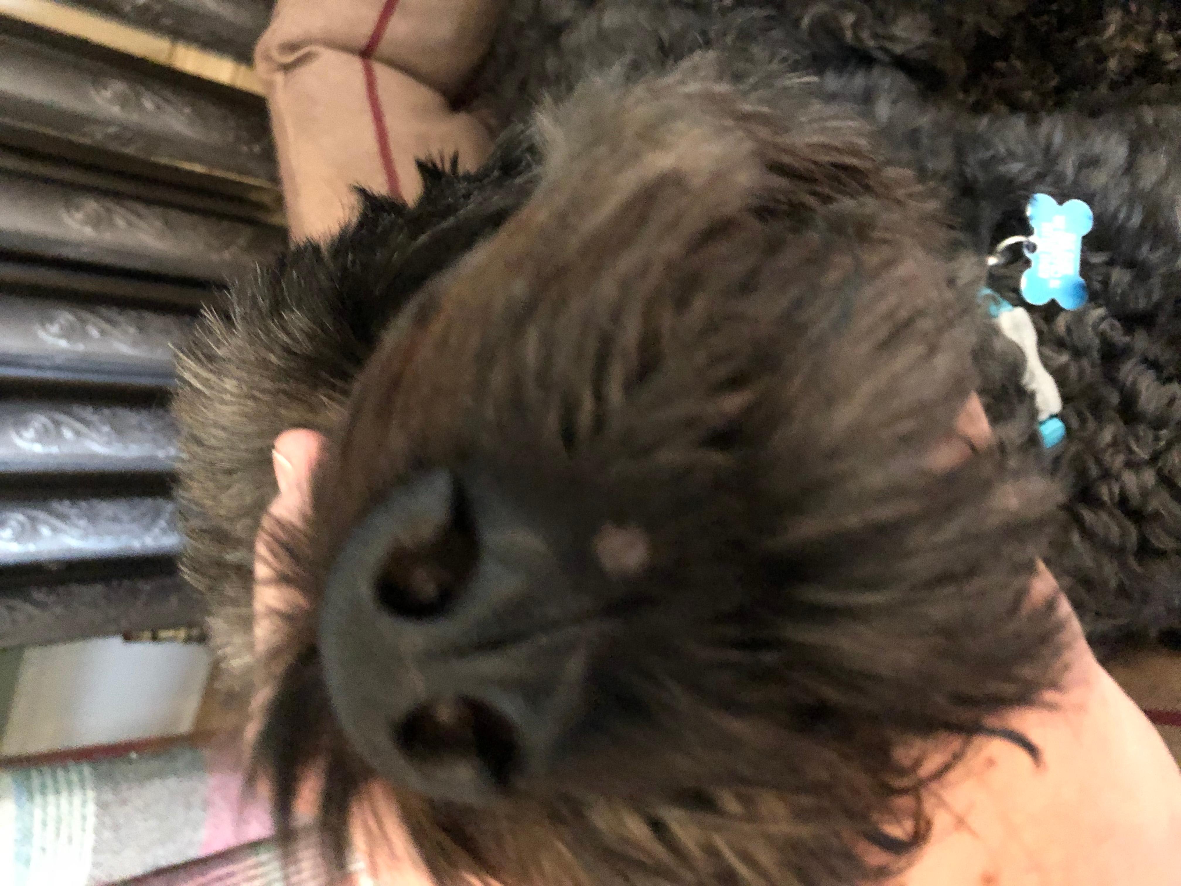 Question details sensitive content