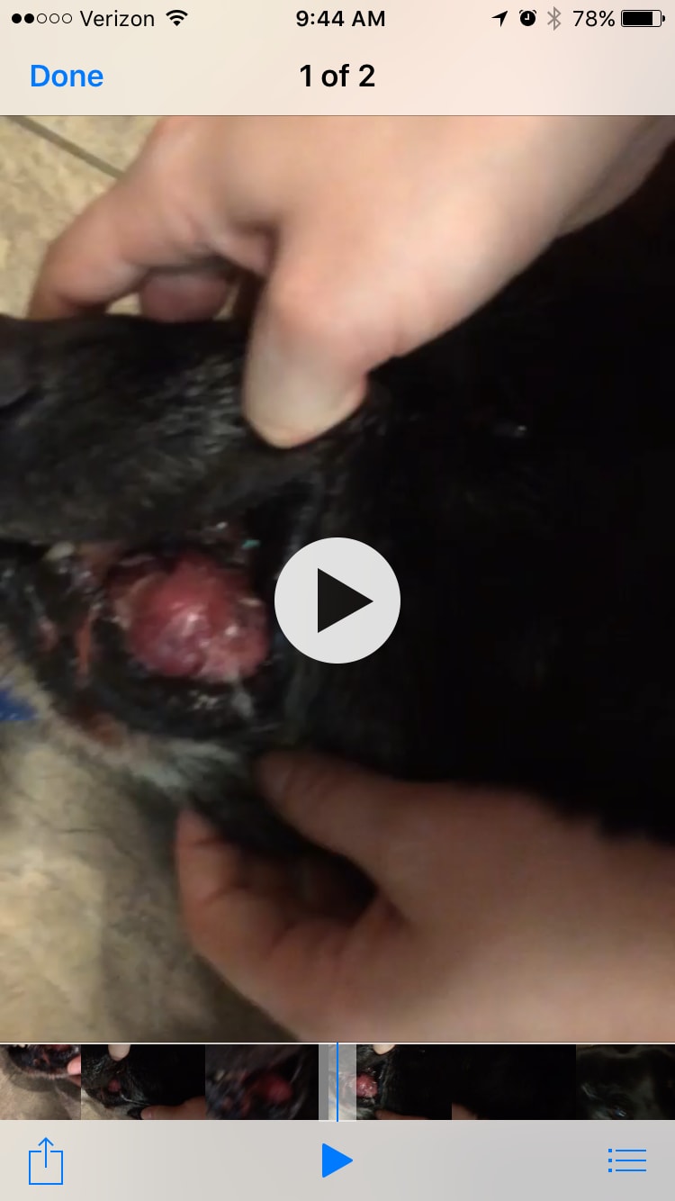 Question details sensitive content