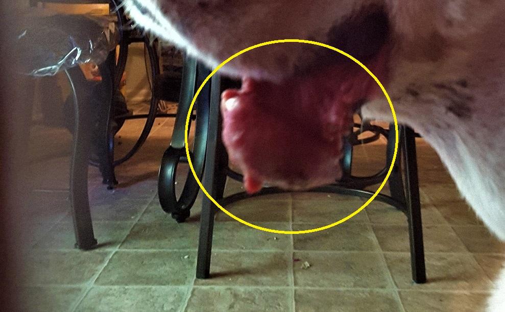 Question details sensitive content