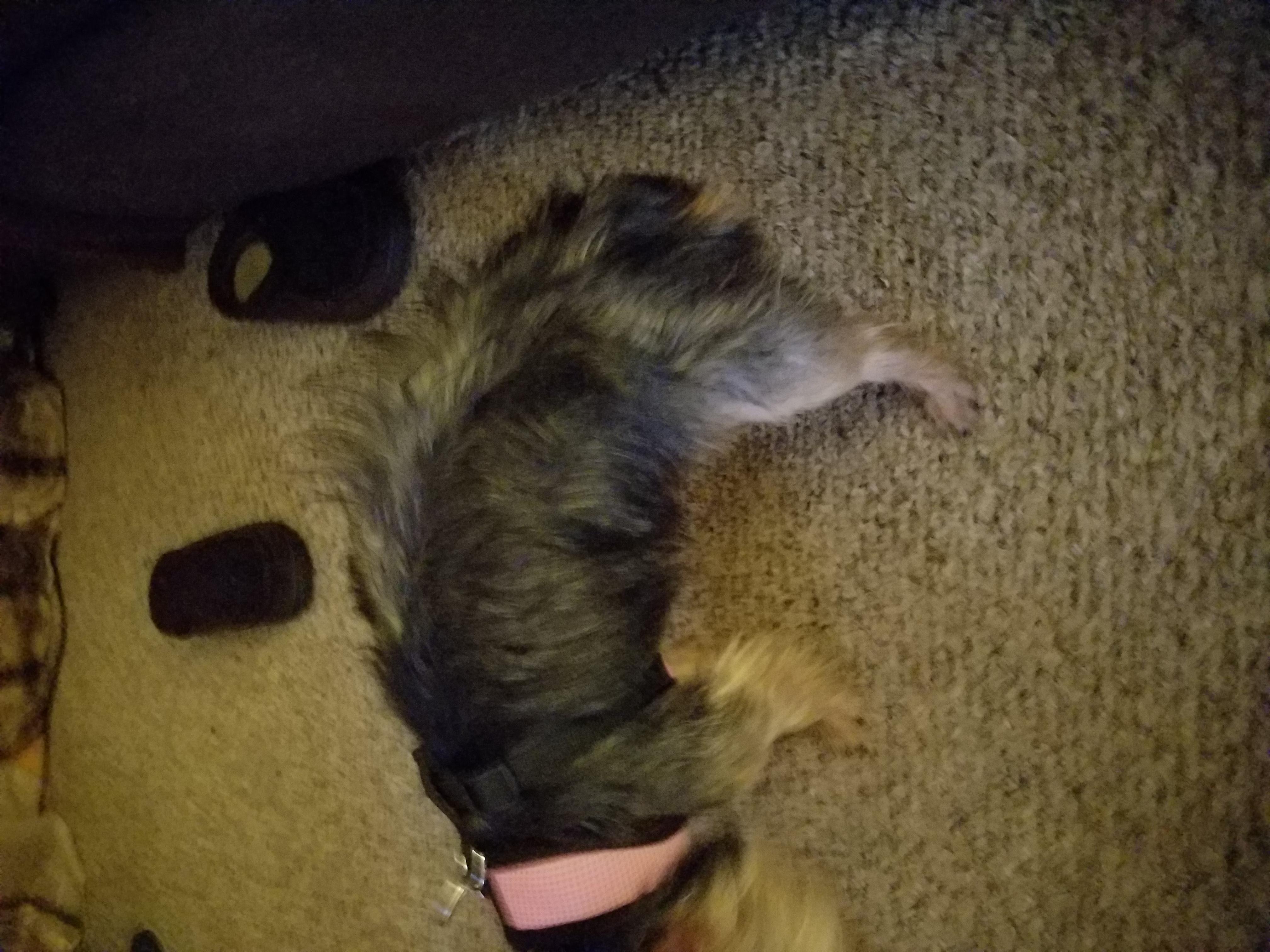 Question details sensitive content