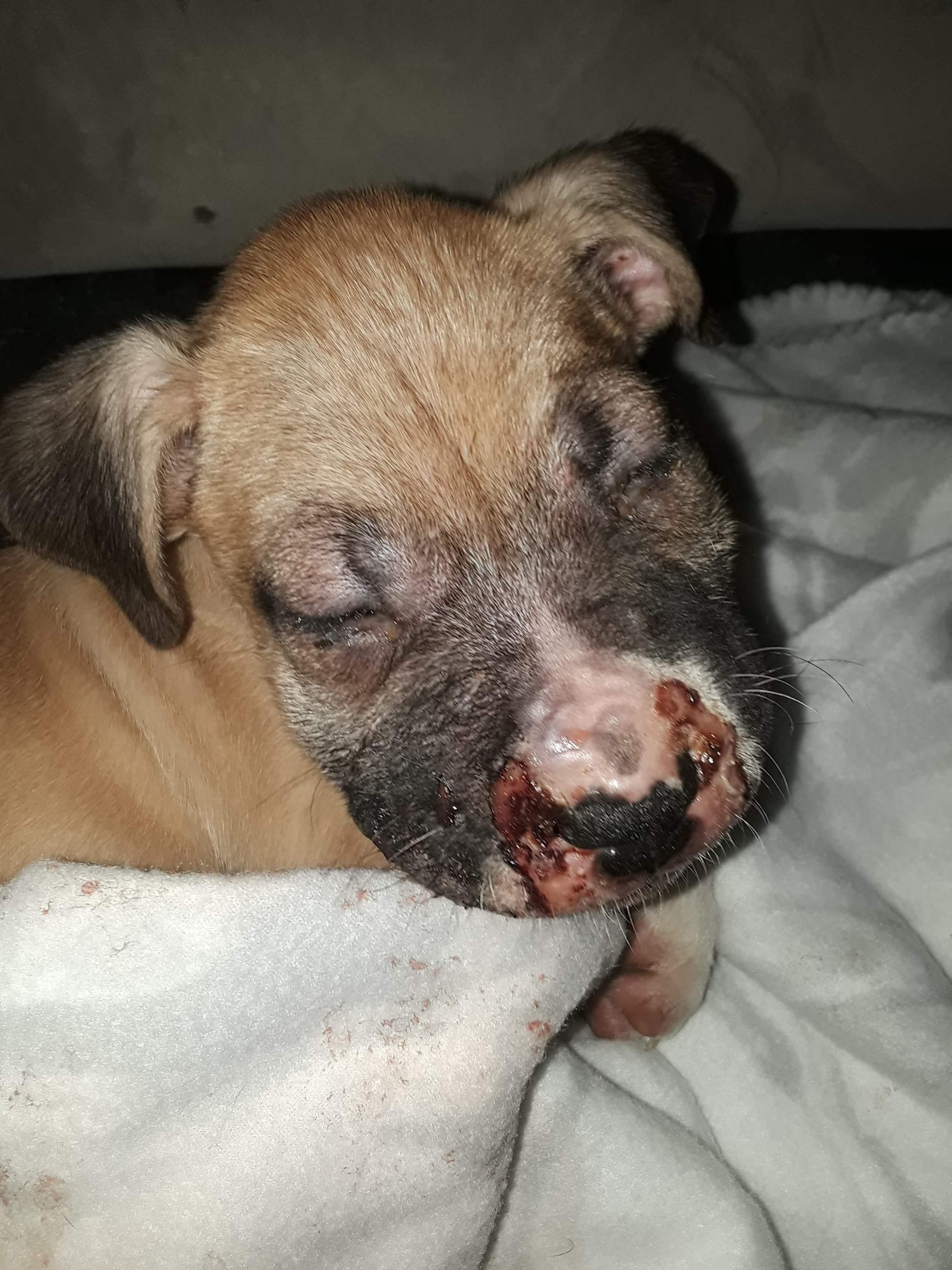 Question details sensitive content