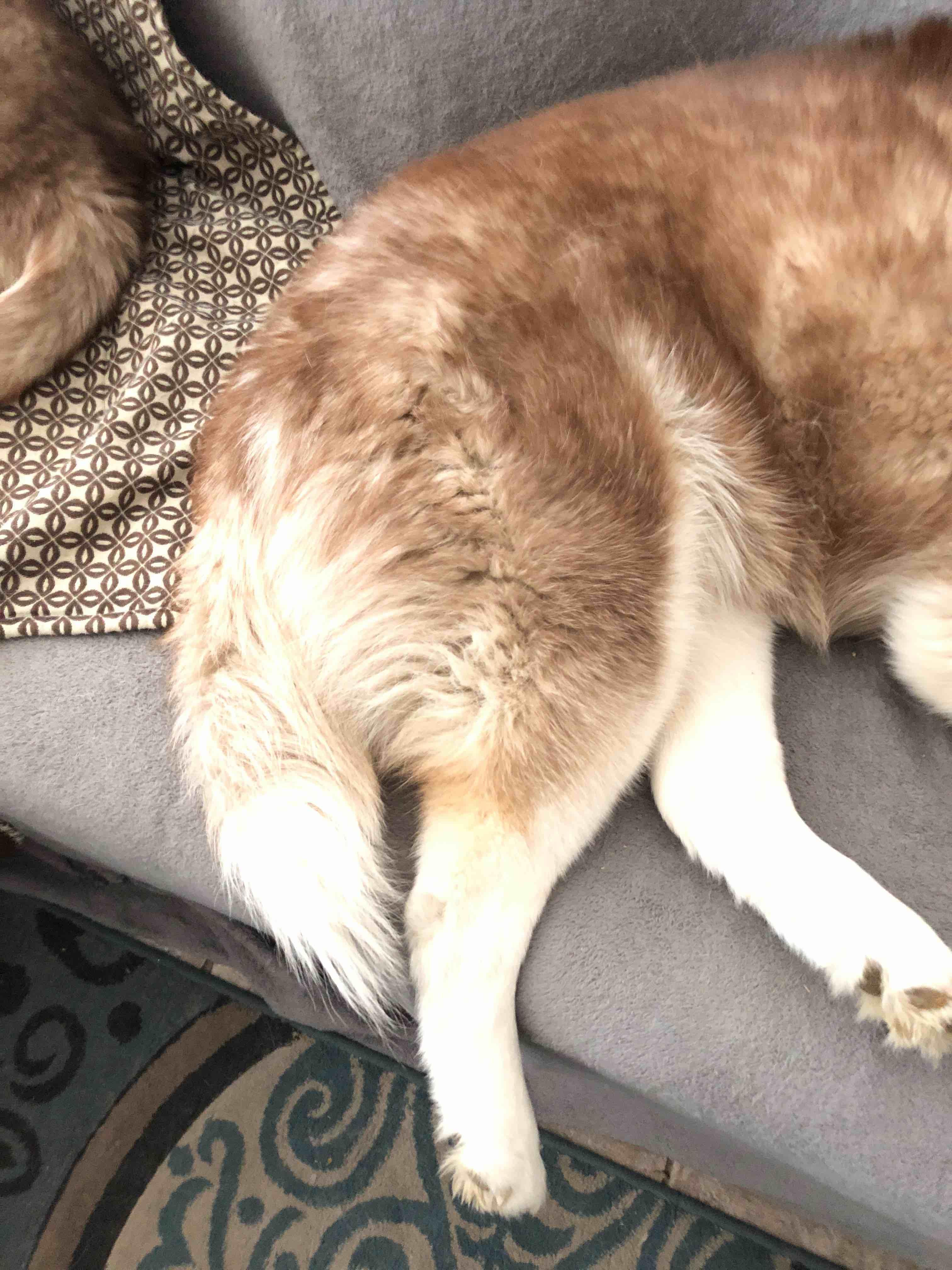 Question details sensitive content