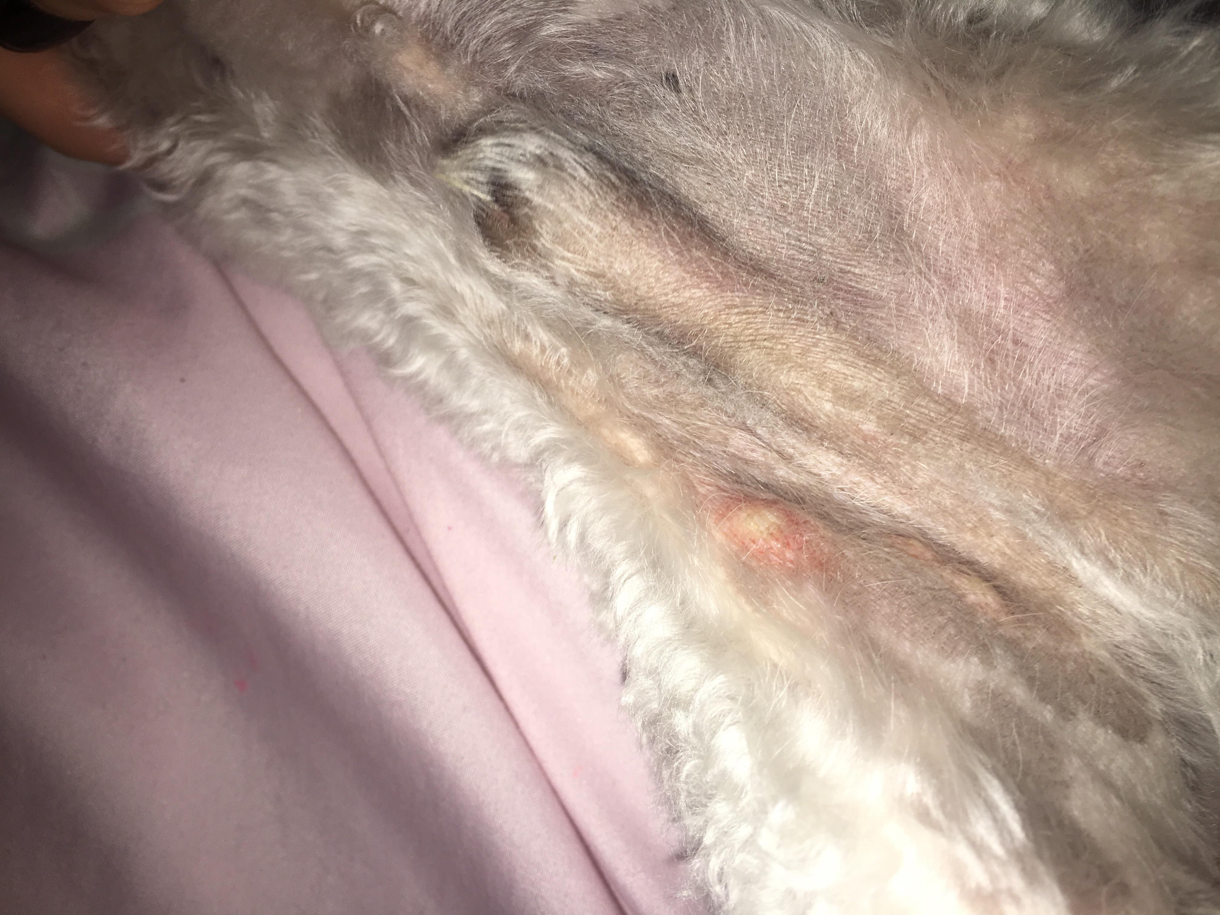 Question details sensitive content