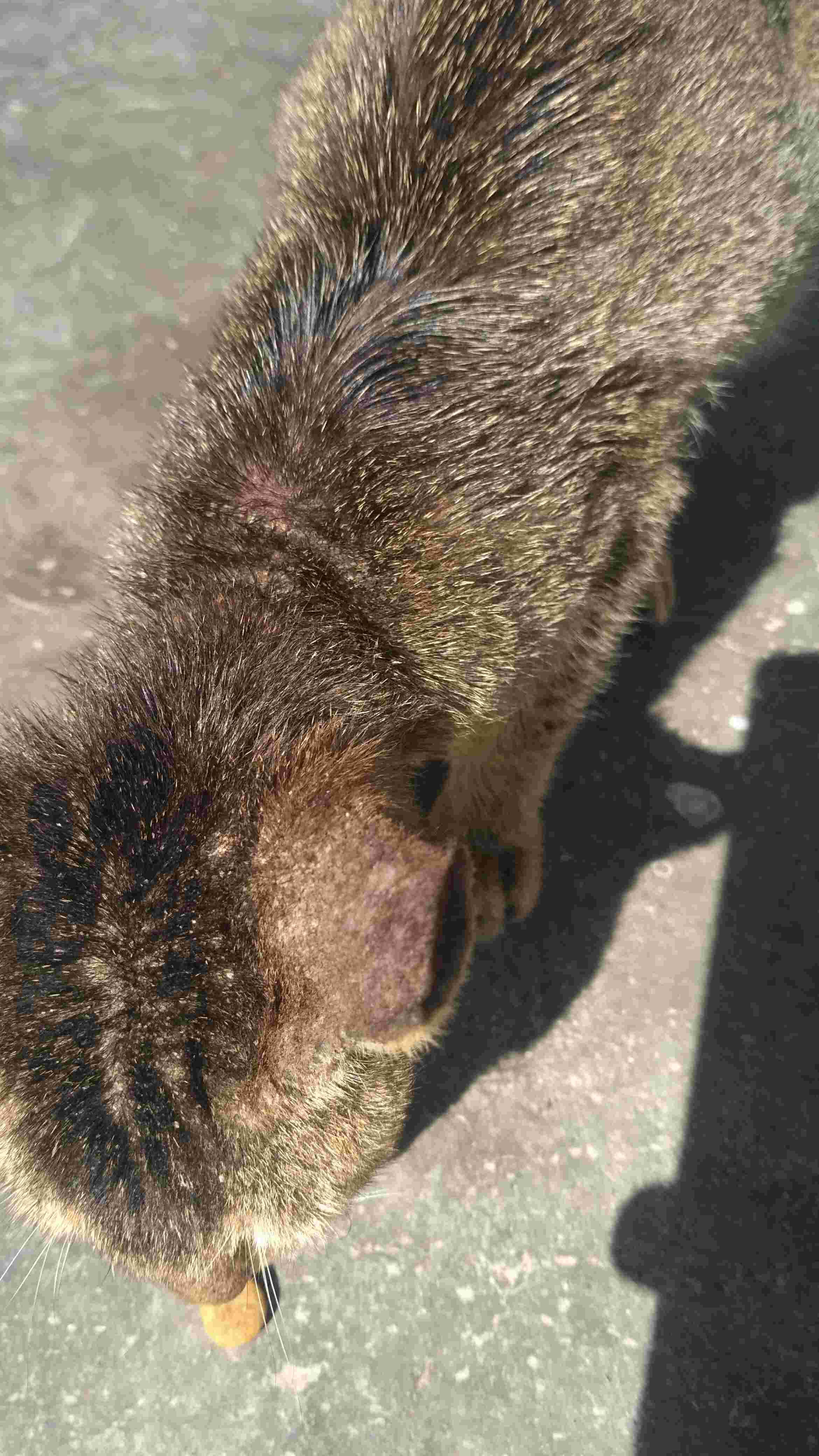 Question details sensitive content