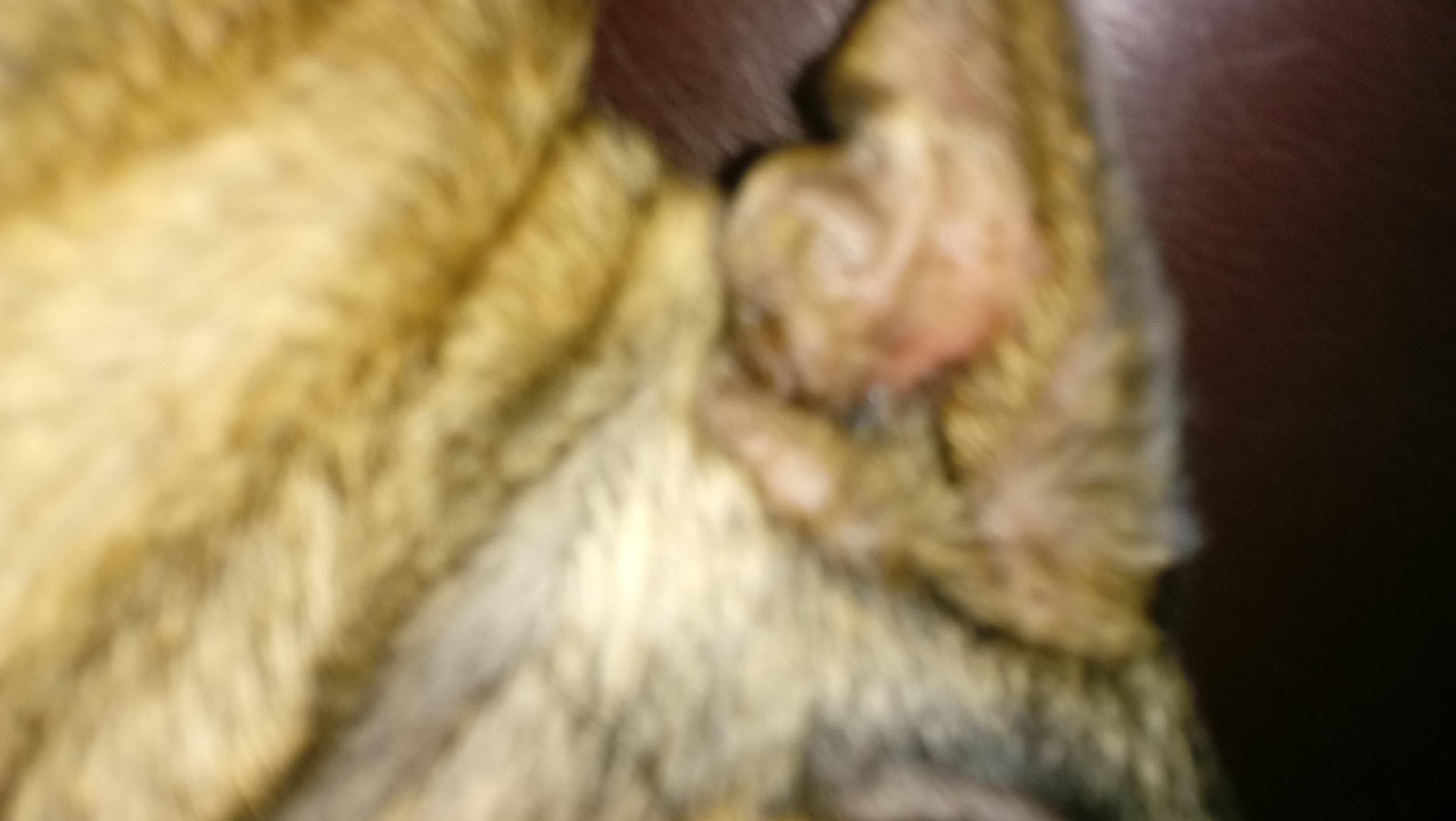 Question details sensitive content