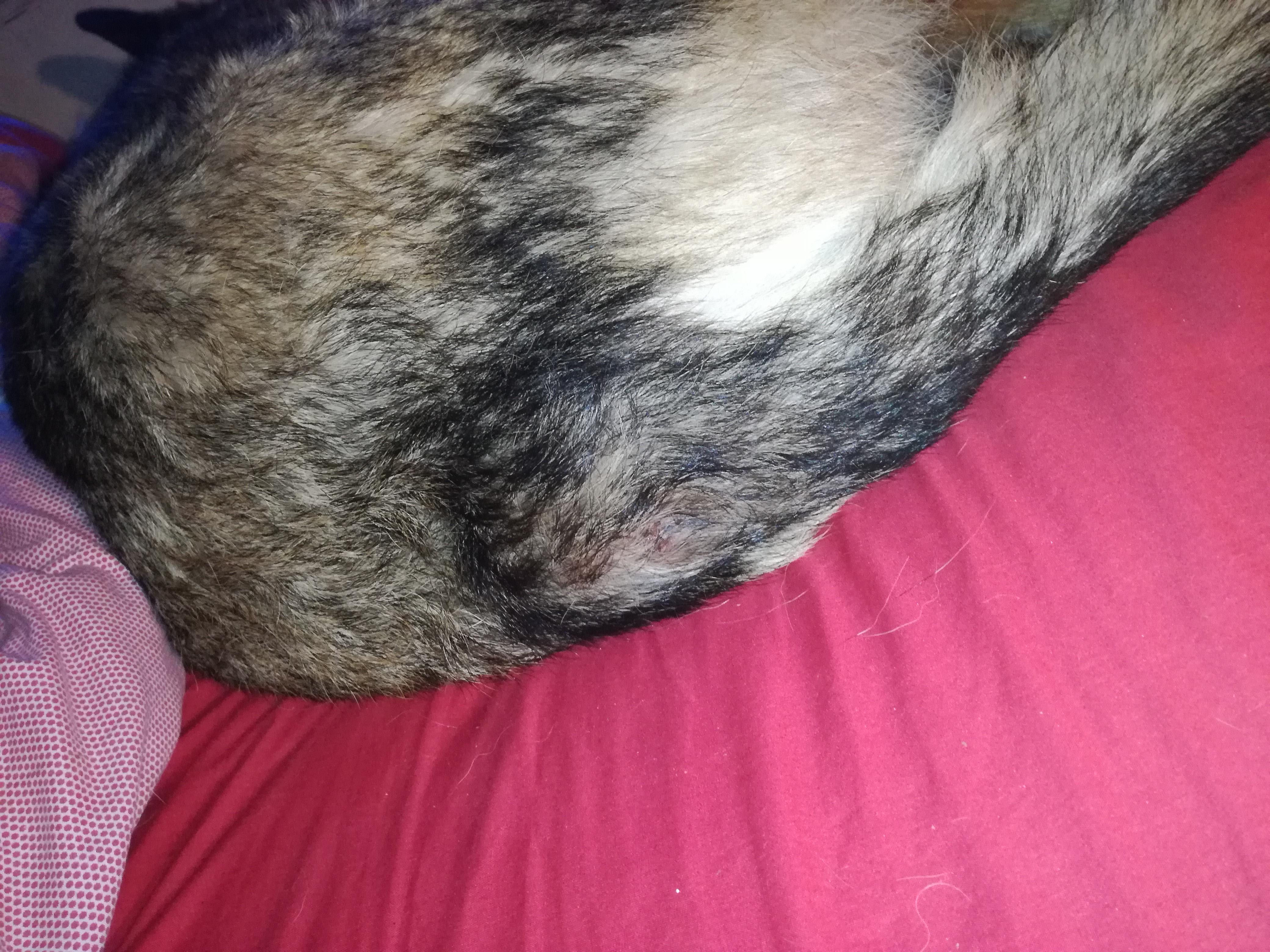 Question details sensitive content