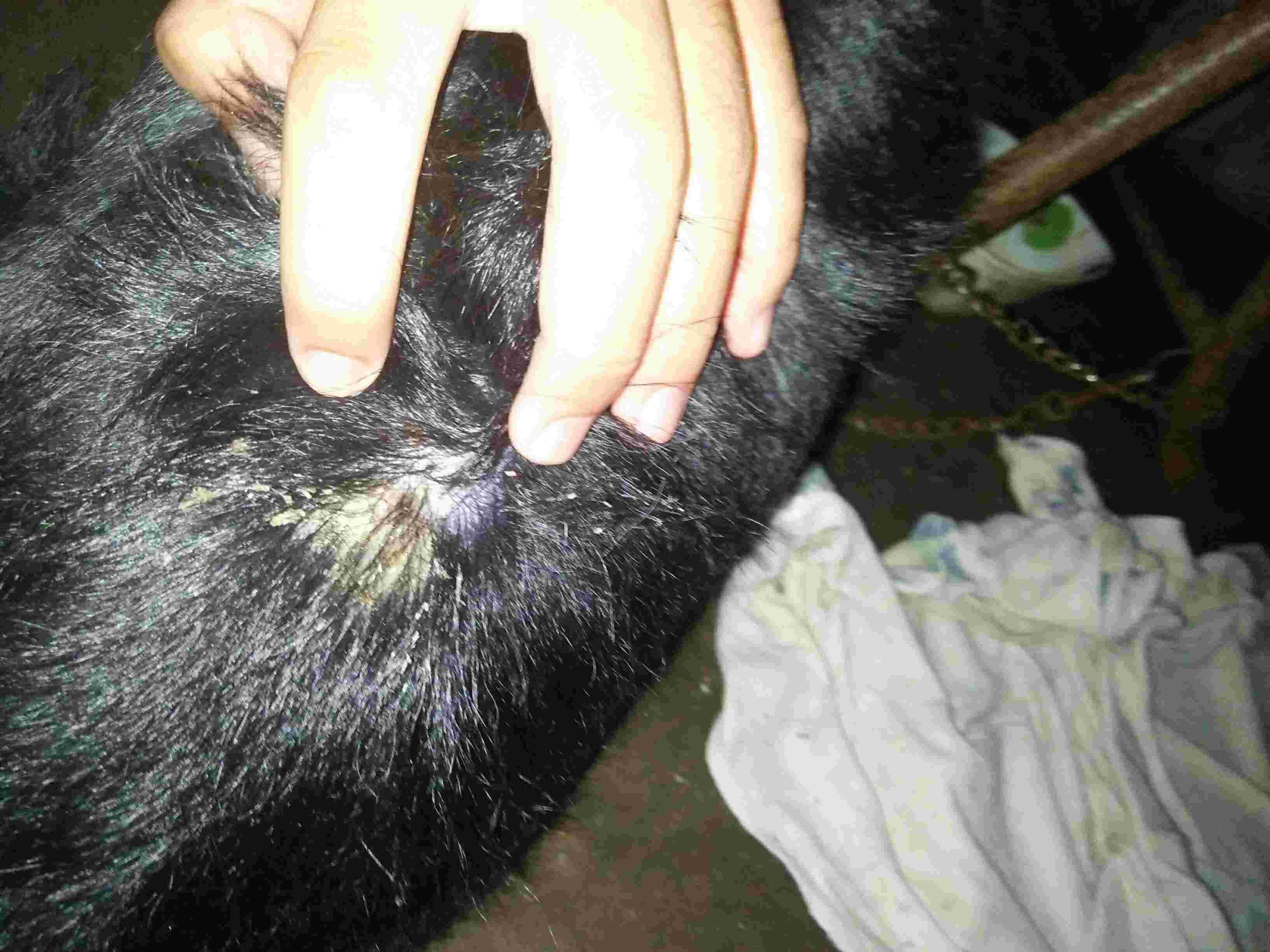 Question details sensitive content