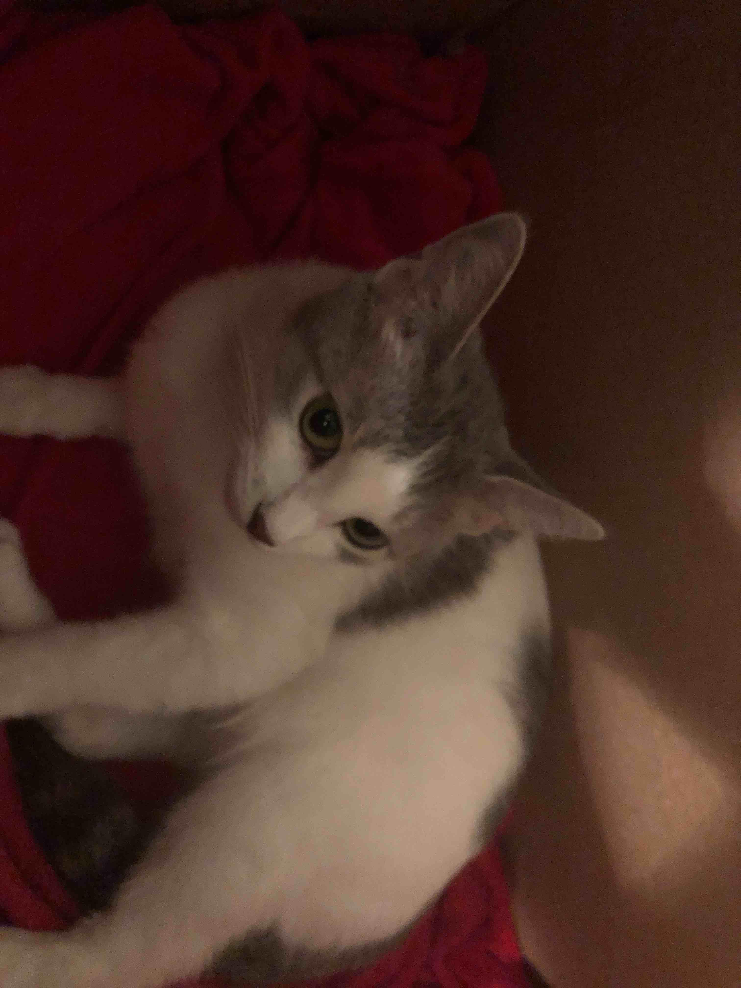 Question details sensitive content