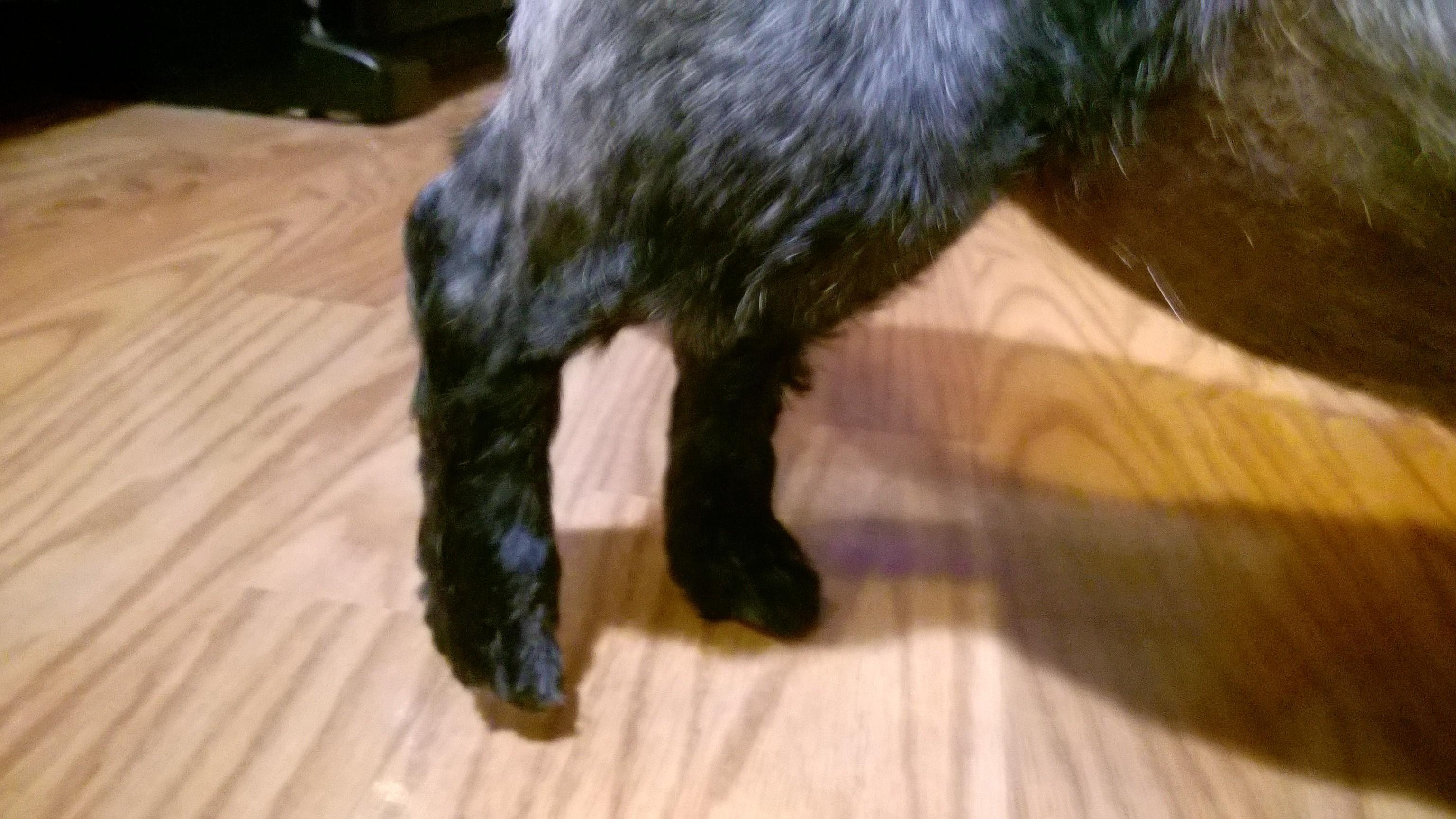 Question details sensitive content