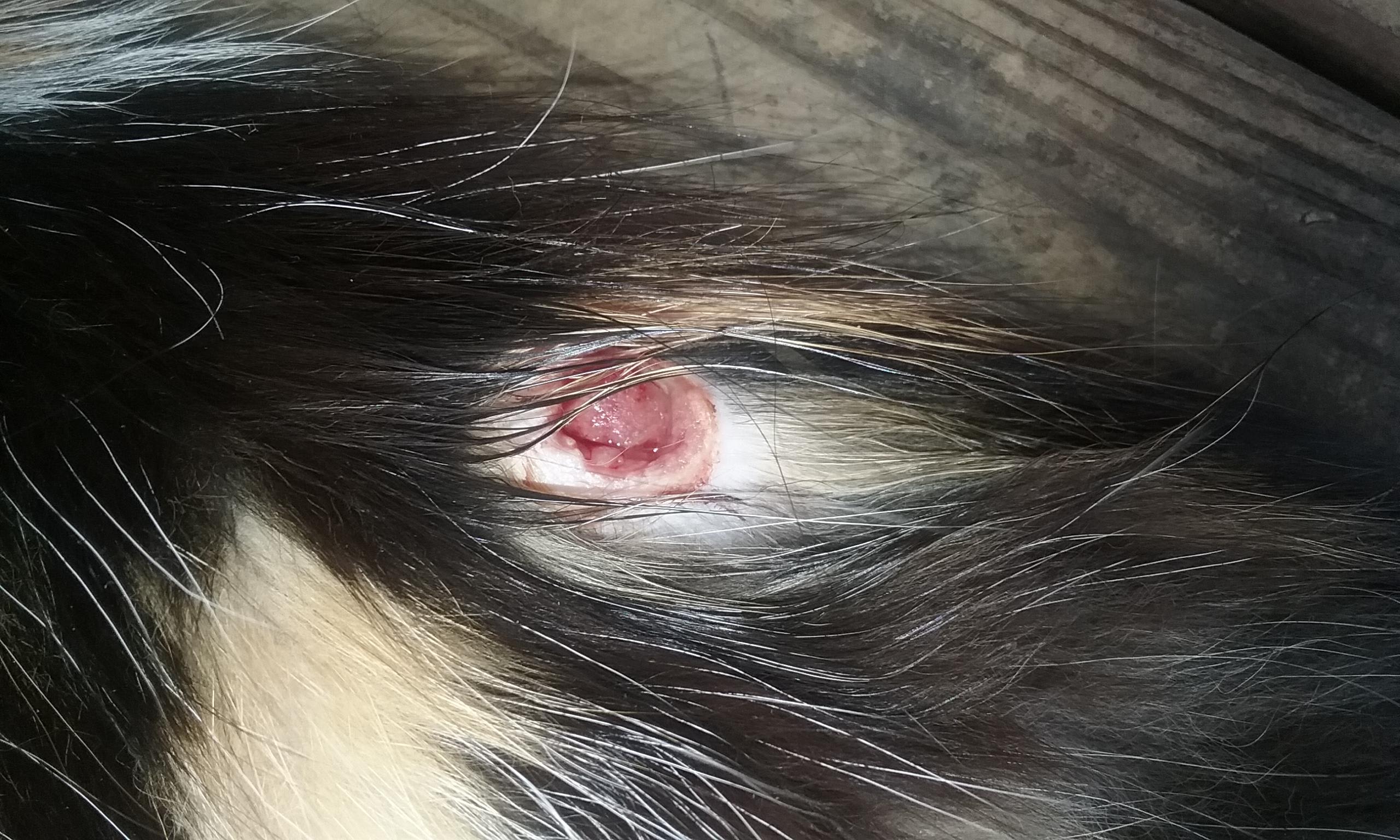 Question details sensitive content