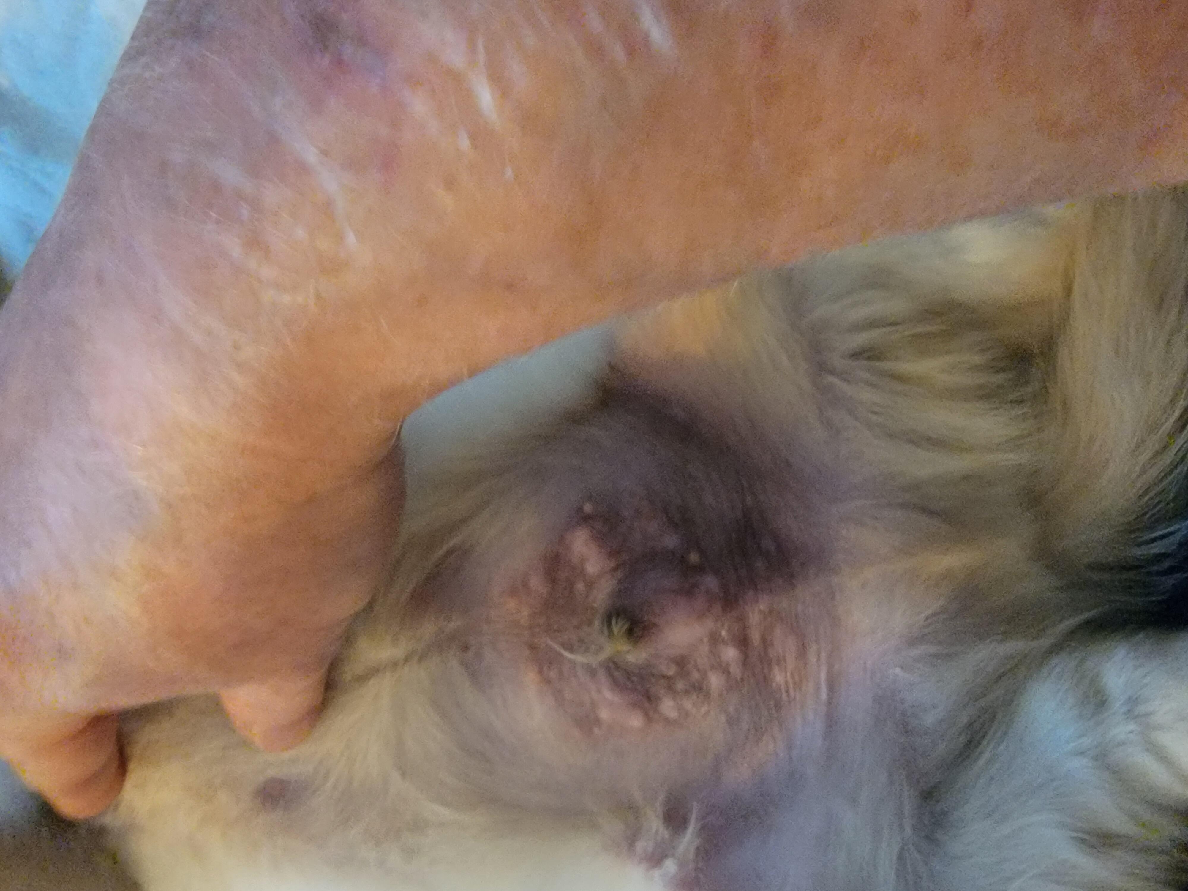 Question details sensitive content