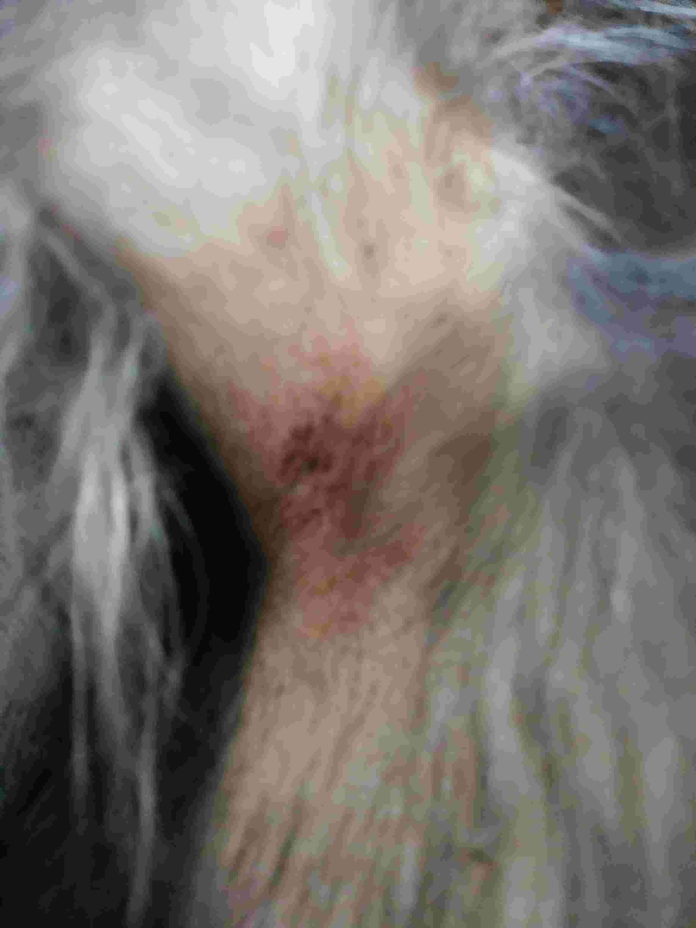 Question details sensitive content