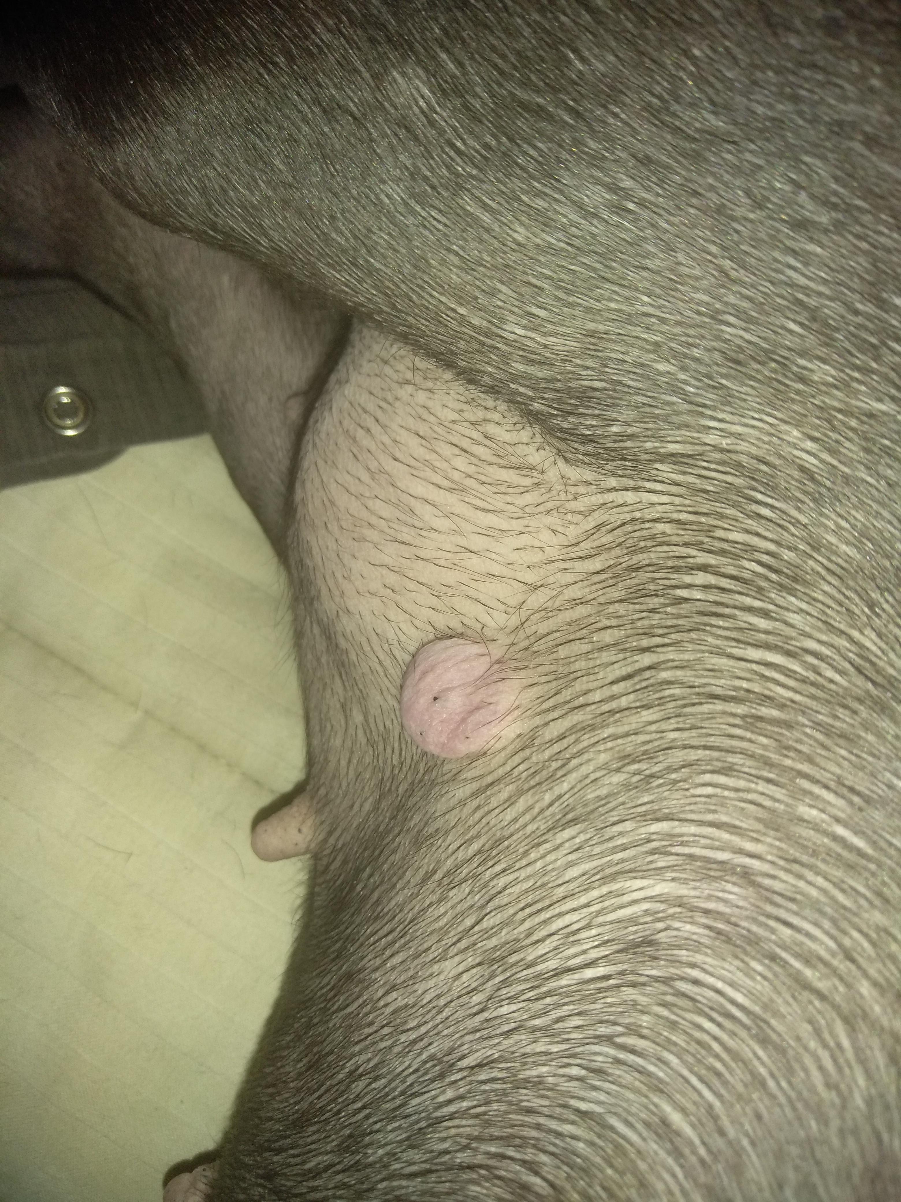 Question details sensitive content