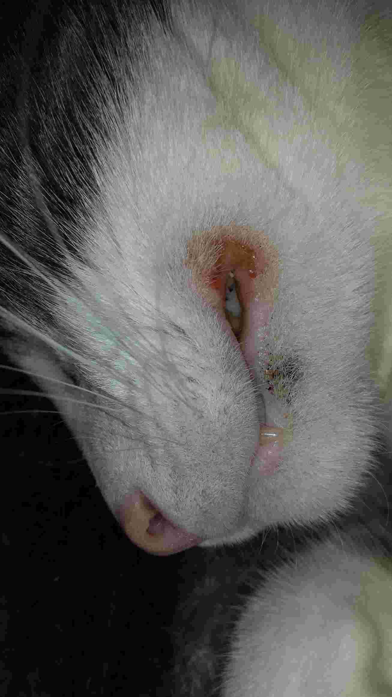 Question details sensitive content