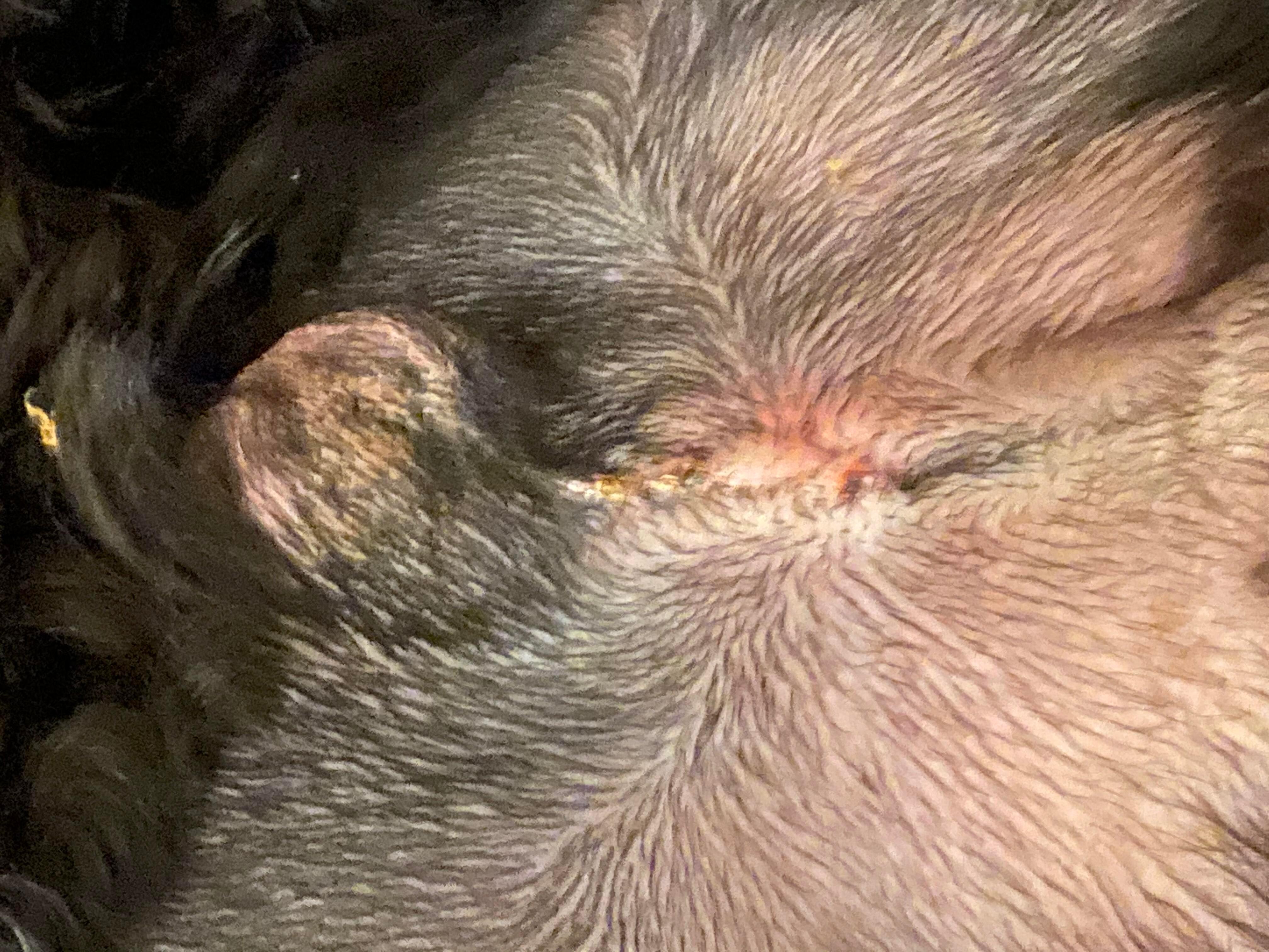 Question details sensitive content