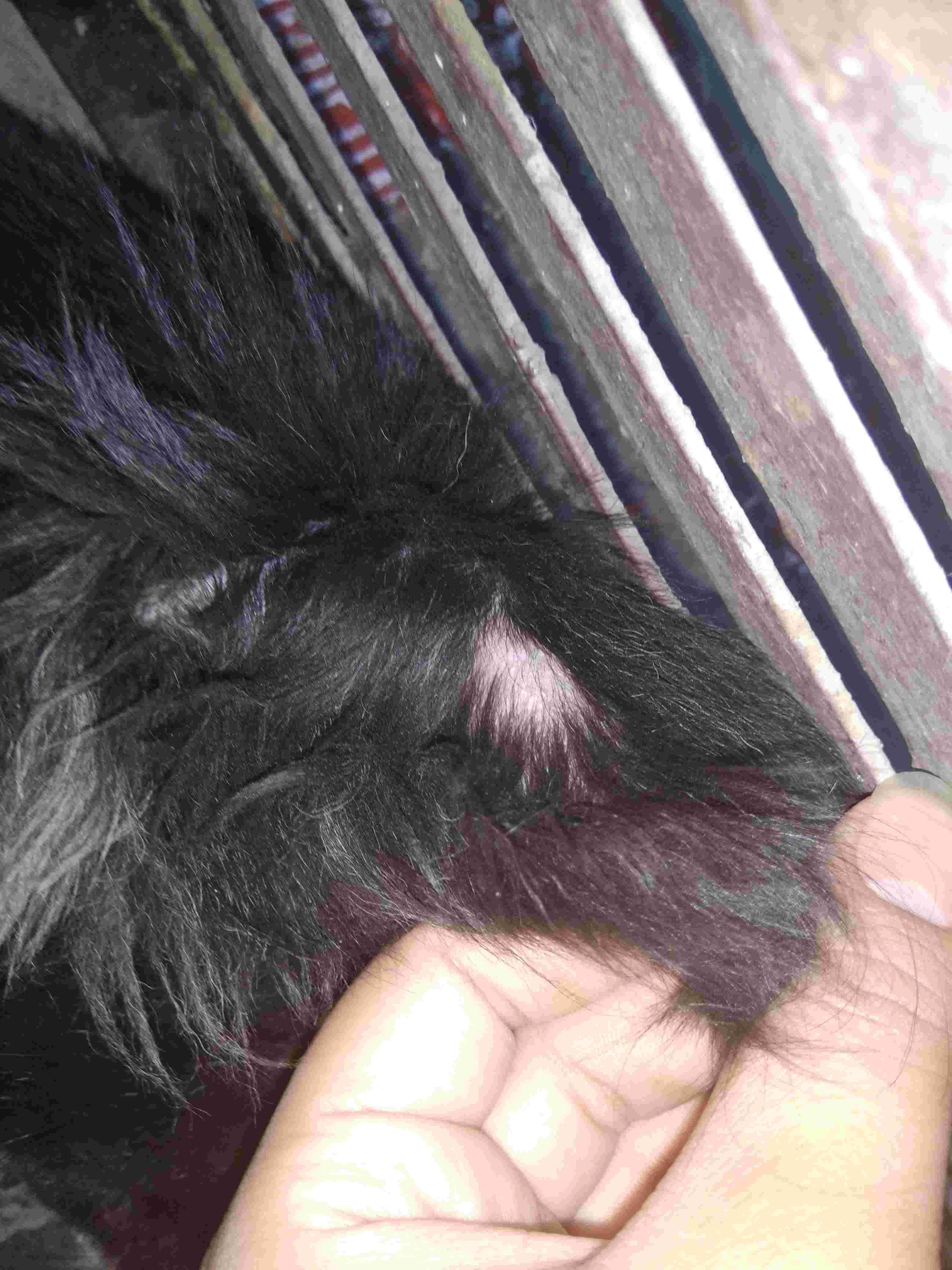 Question details sensitive content